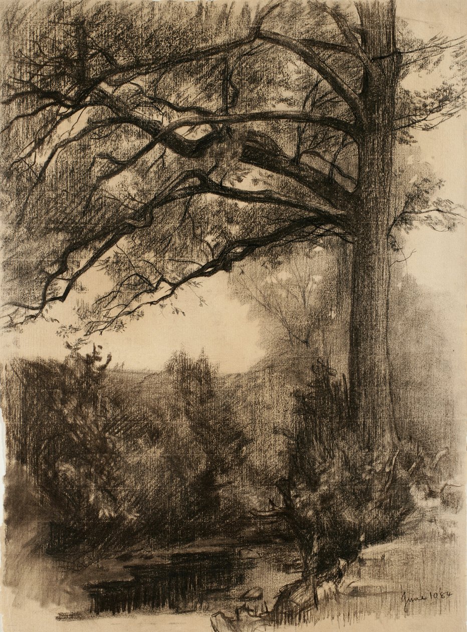 Maisema, jossa on suuri puu, 1884 (hiili härskille paperille) tekijältä Samuel Isham