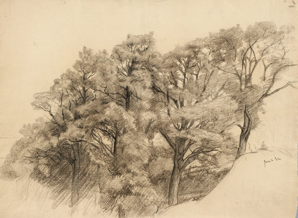 Maisema puineen, 1884 (hiili härskille paperille) tekijältä Samuel Isham