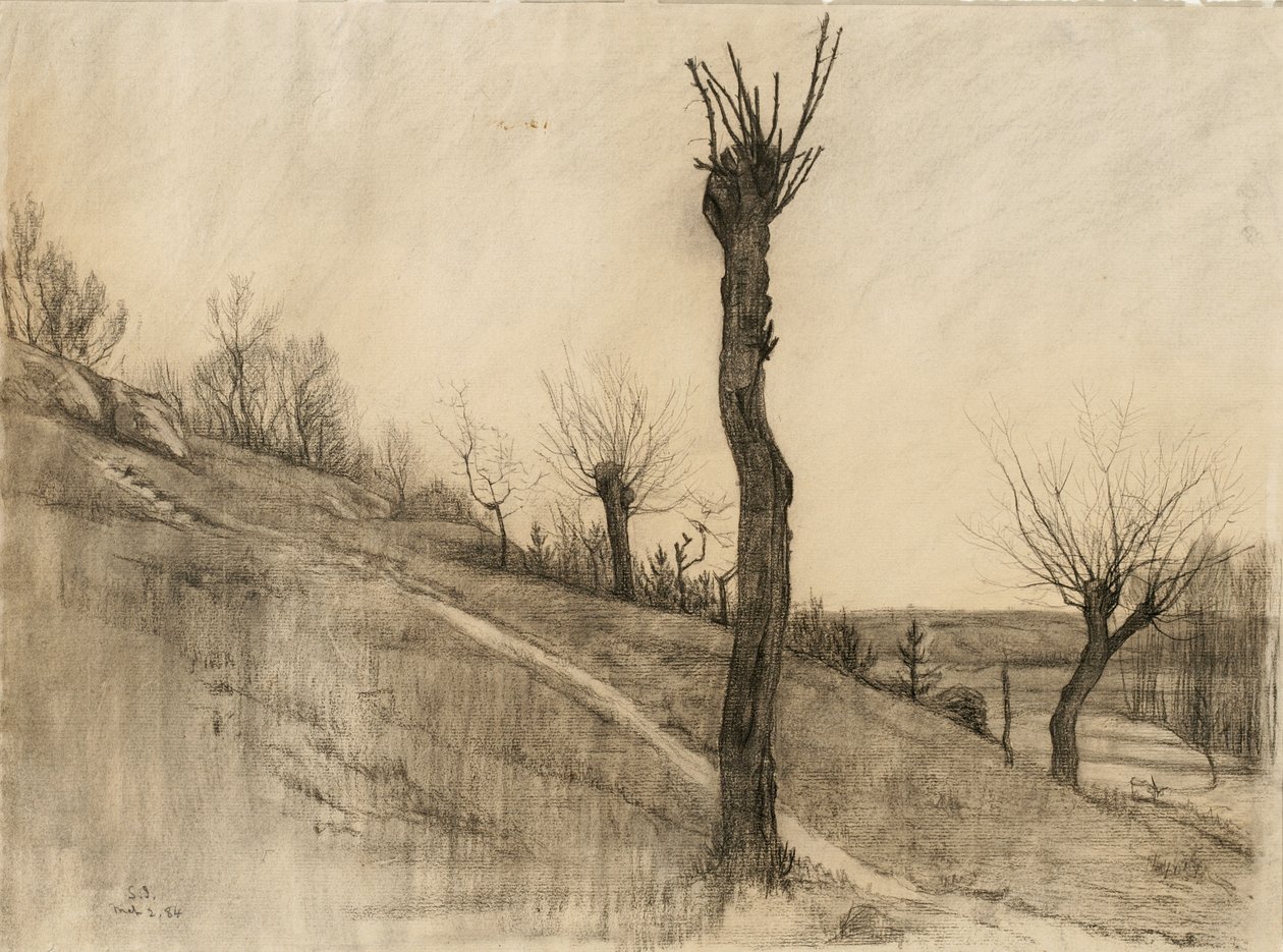 Myöhäinen talvimaisema, 1884 (hiili kiiltävälle paperille) tekijältä Samuel Isham