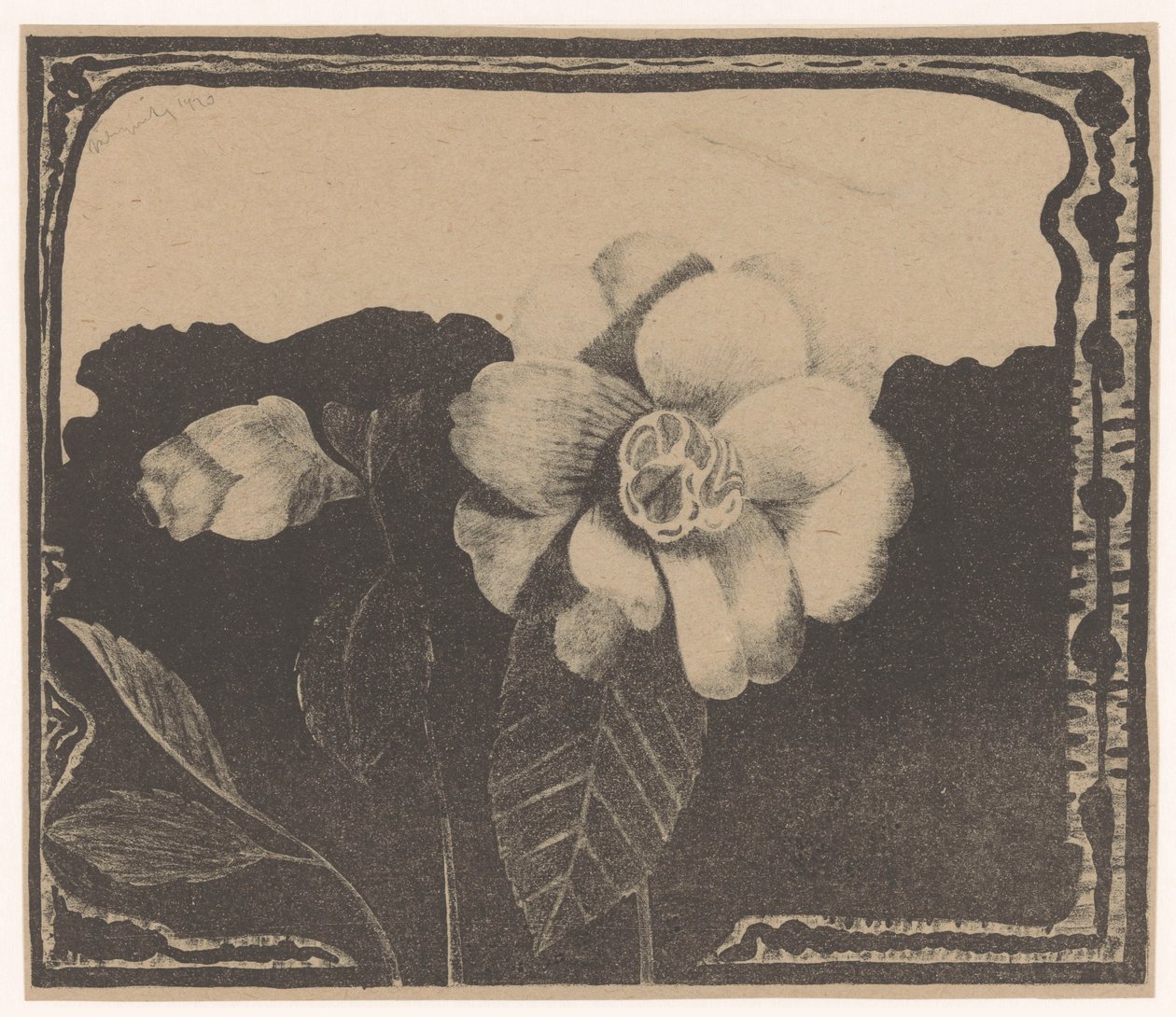 Camellia, jätti kukan silmuihin tekijältä Samuel Jessurun de Mesquita (signed by artist)