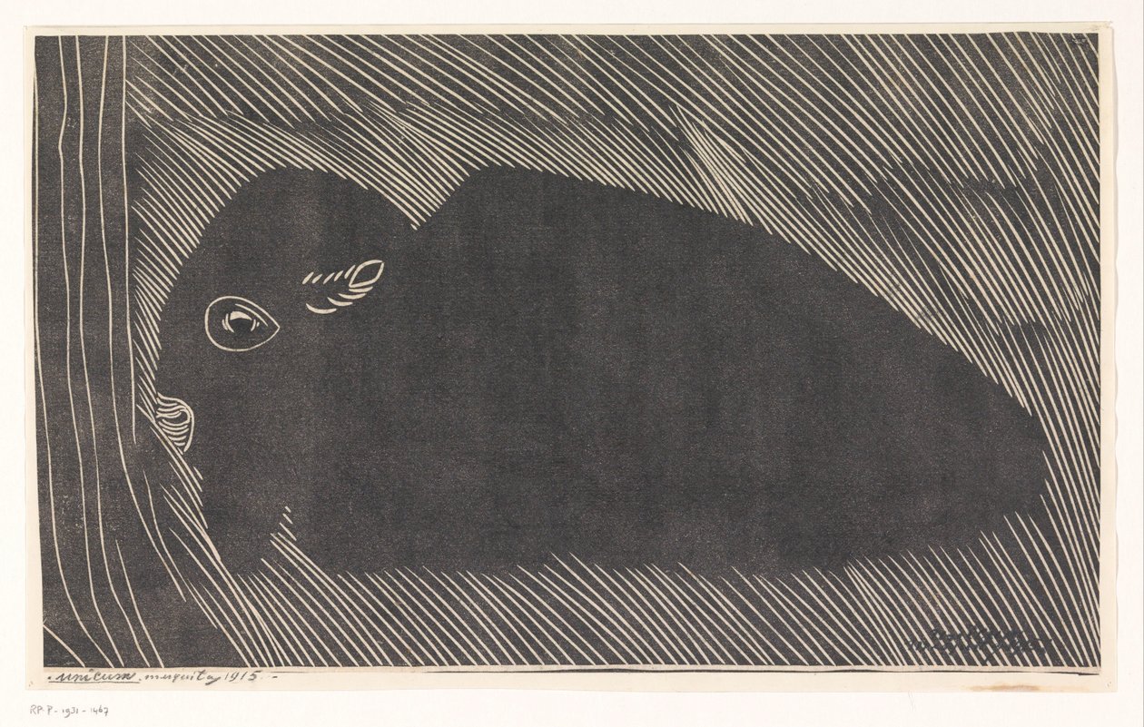 Makaava biisoni tekijältä Samuel Jessurun de Mesquita (signed by artist)