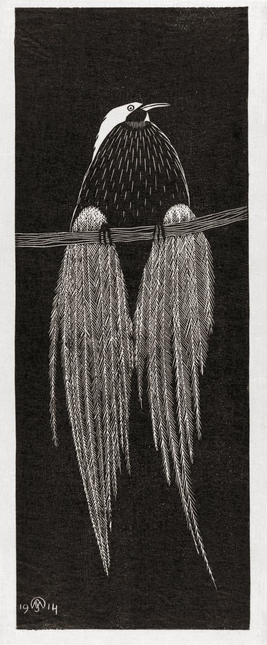 Paratiisilintu, kirjoittanut Samuel Jessurun de Mesquita tekijältä Samuel Jessurun de Mesquita