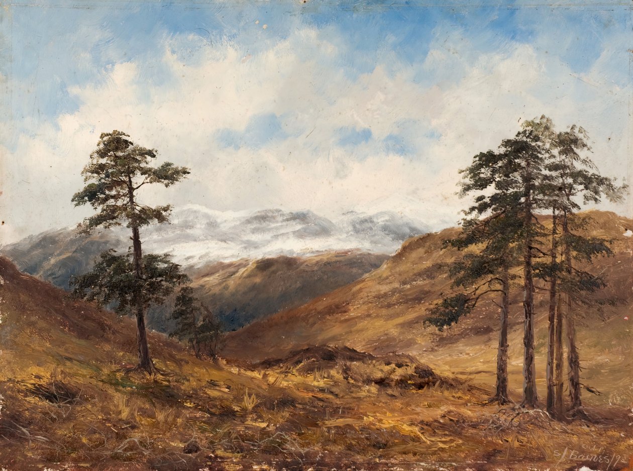 Lähellä Balmoralia, 1893. tekijältä Samuel John Barnes