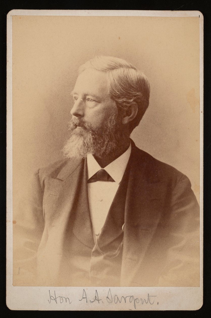 Aaron Augustus Sargentin muotokuva 1827-1887, 1876-1880. tekijältä Samuel Montague Fassett