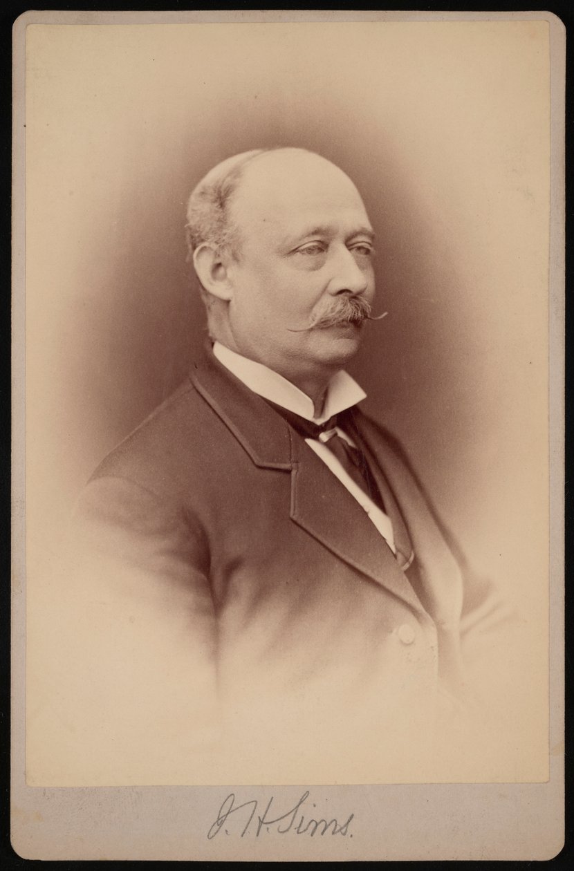 Muotokuva J.H. Sims, Vuosina 1876-1880. tekijältä Samuel Montague Fassett
