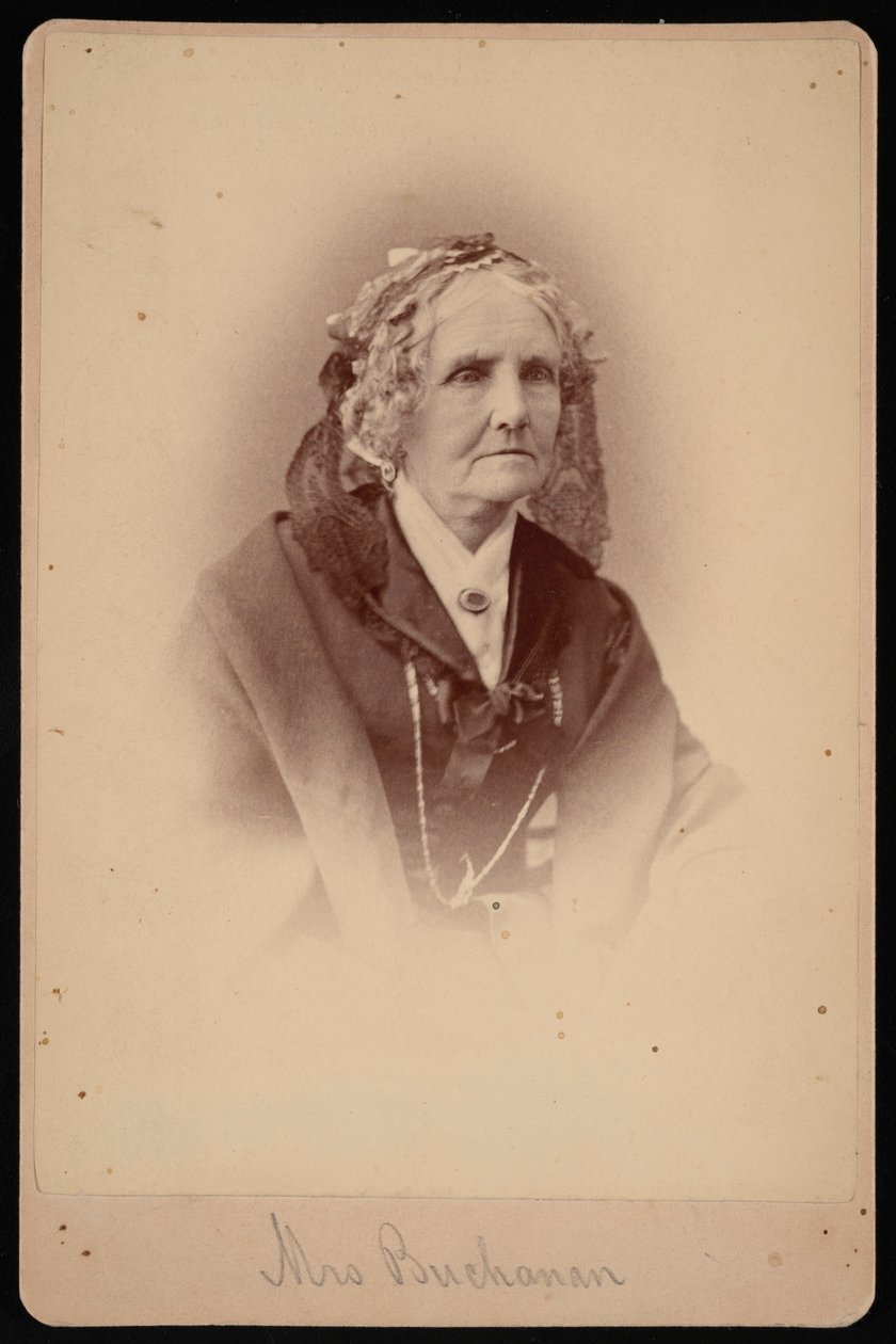 Retrat de la senyora Buchanan, 1875. finlandès tekijältä Samuel Montague Fassett