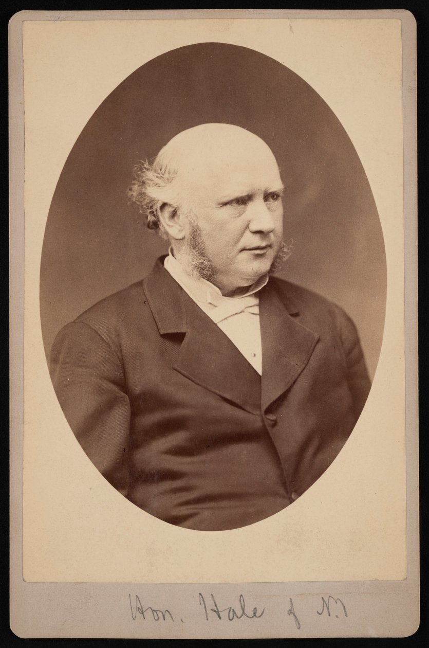 Robert Safford Halen muotokuva 1822-1881, ennen vuotta 1881. tekijältä Samuel Montague Fassett