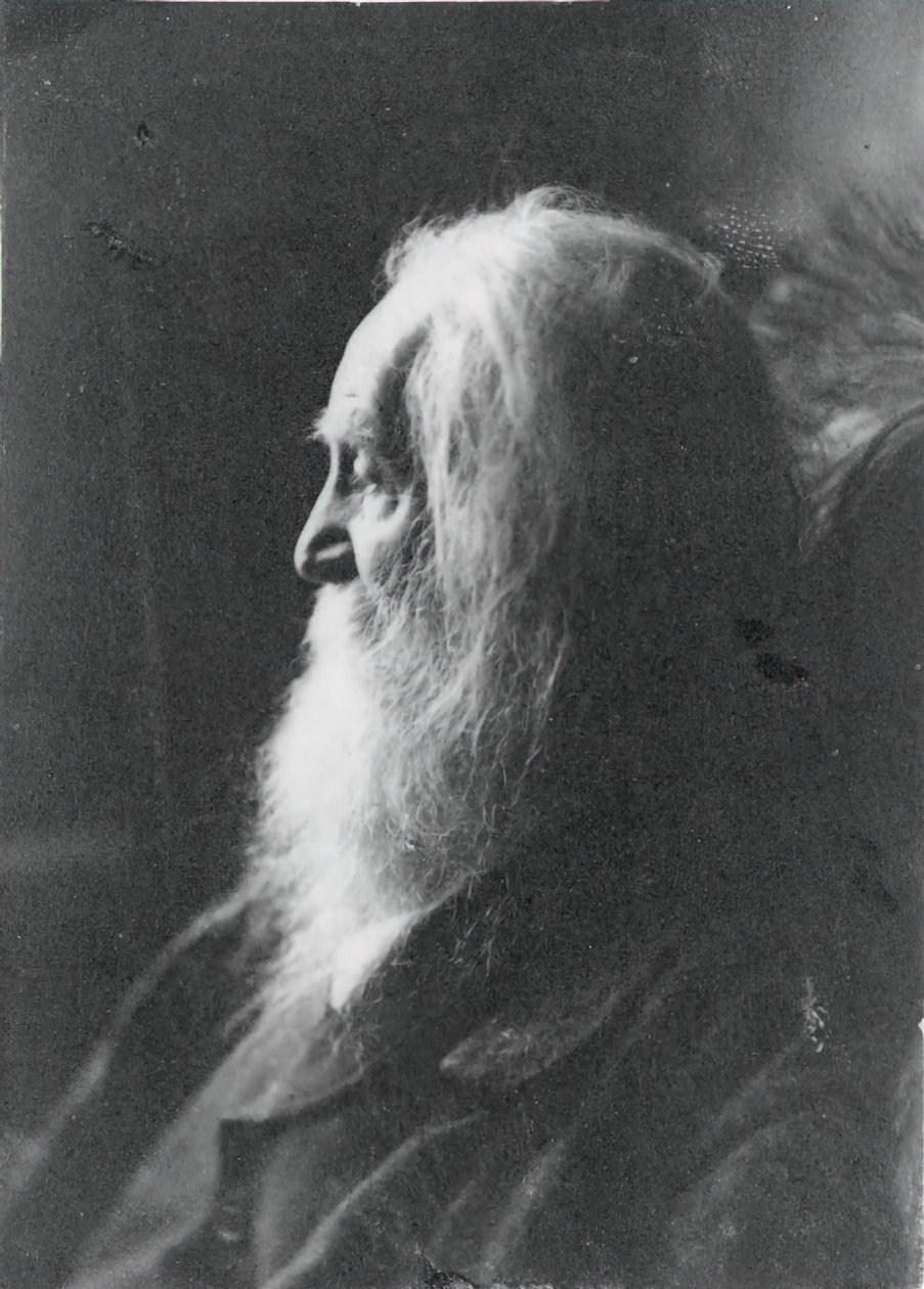 Walt Whitman Camdenissa, N.J., n. 1891. tekijältä Samuel Murray