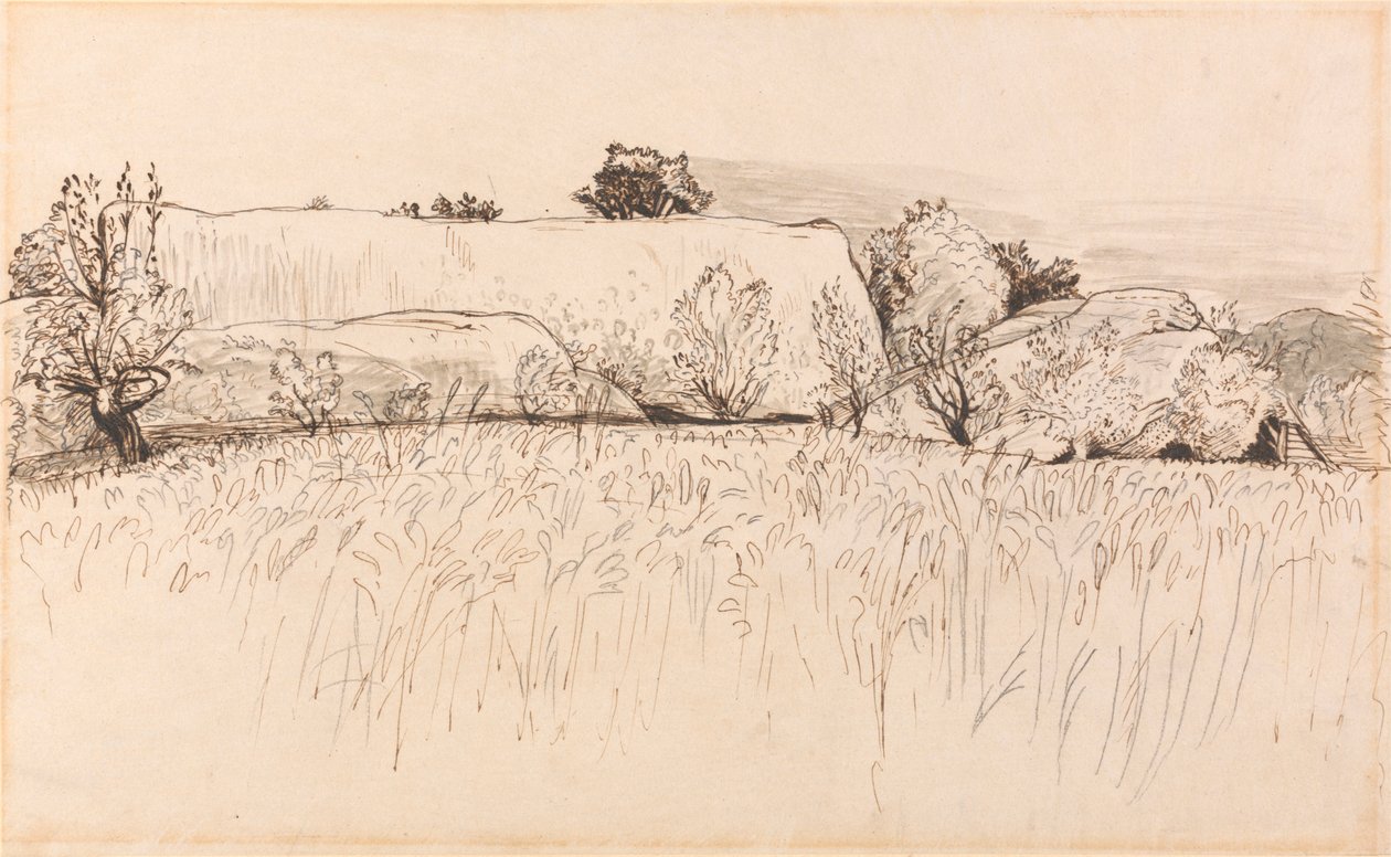 Maissipellot Barnin kanssa, Shoreham tekijältä Samuel Palmer