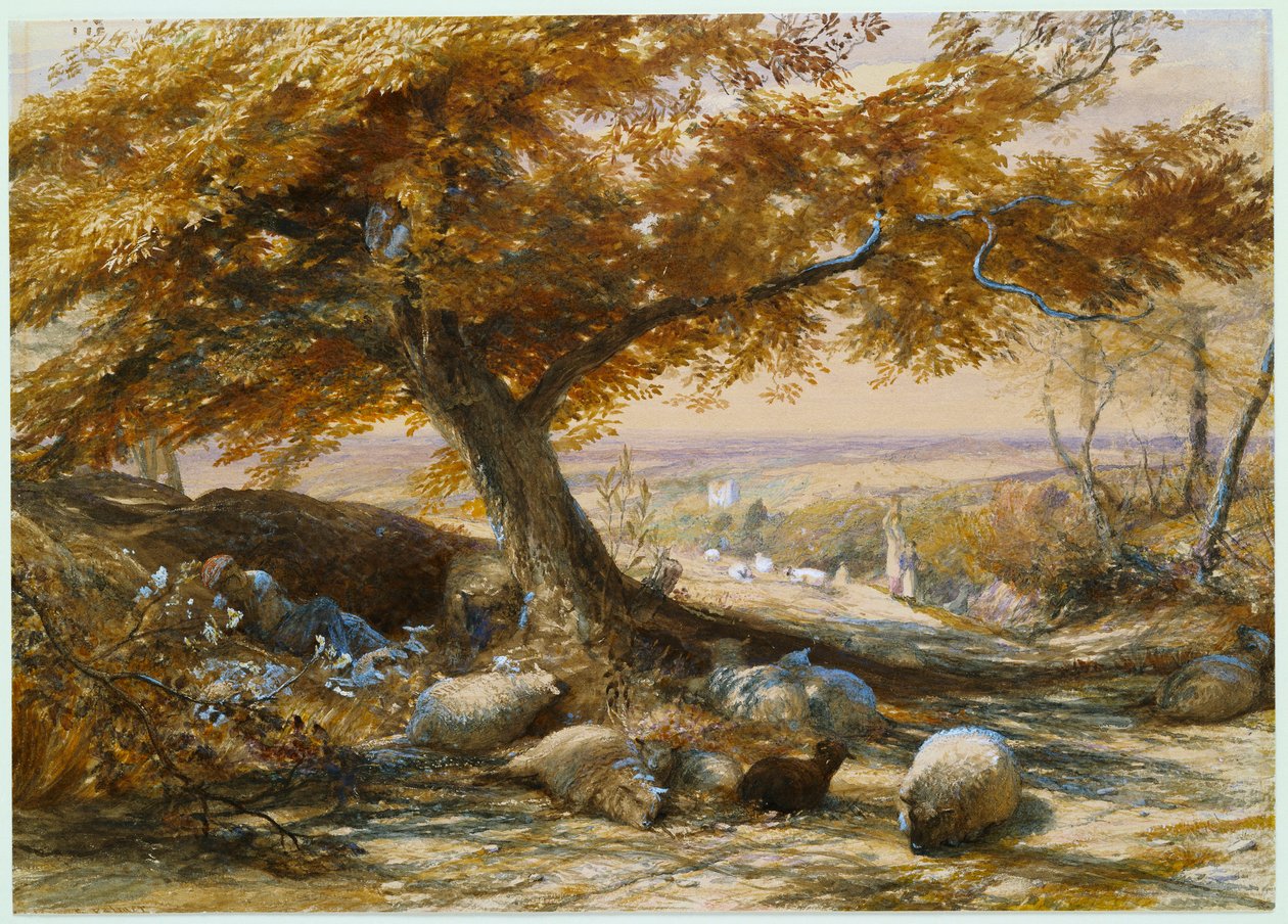 Sheep in the Shade, noin 1851 tekijältä Samuel Palmer