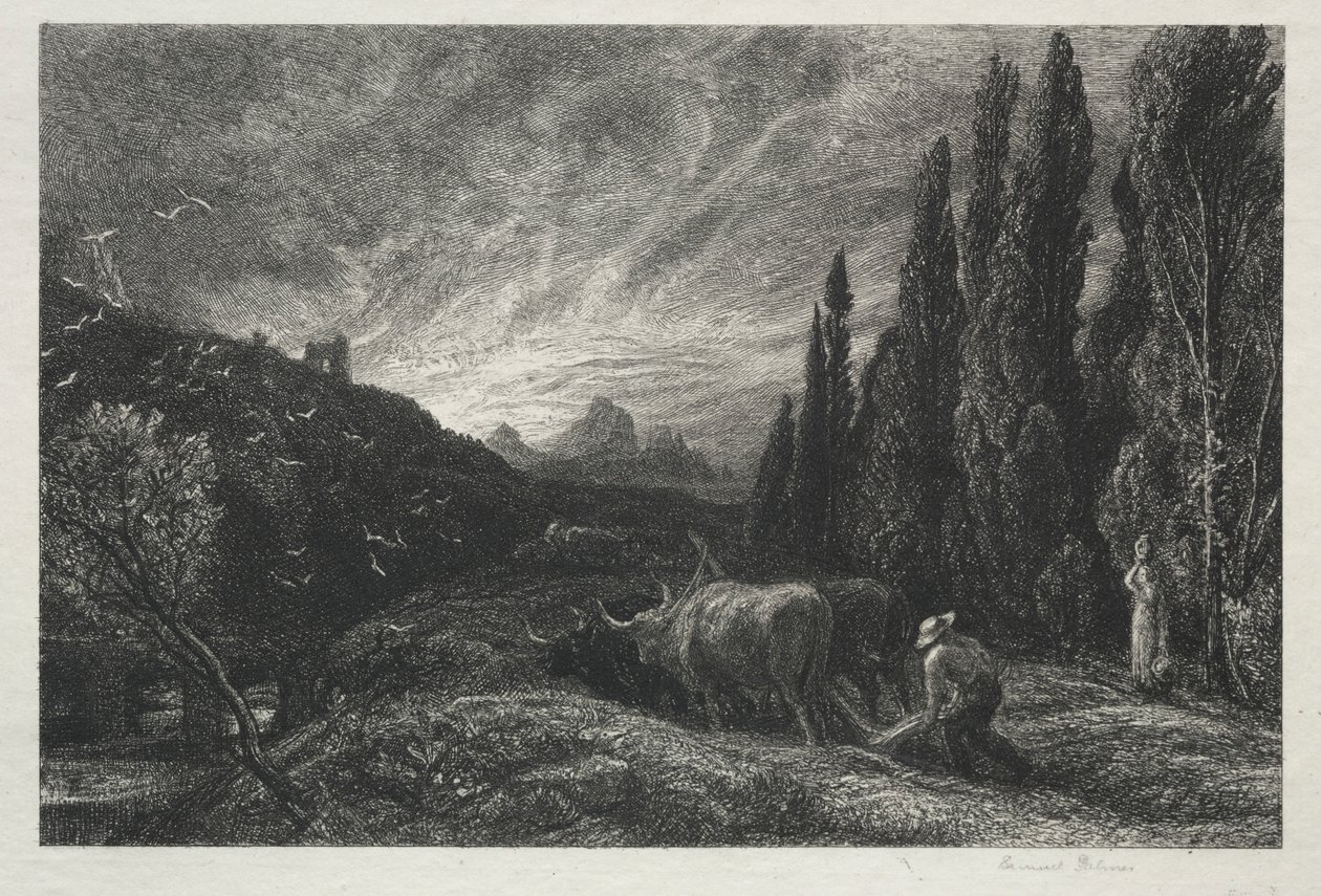 Varhainen kyntäjä. tekijältä Samuel Palmer