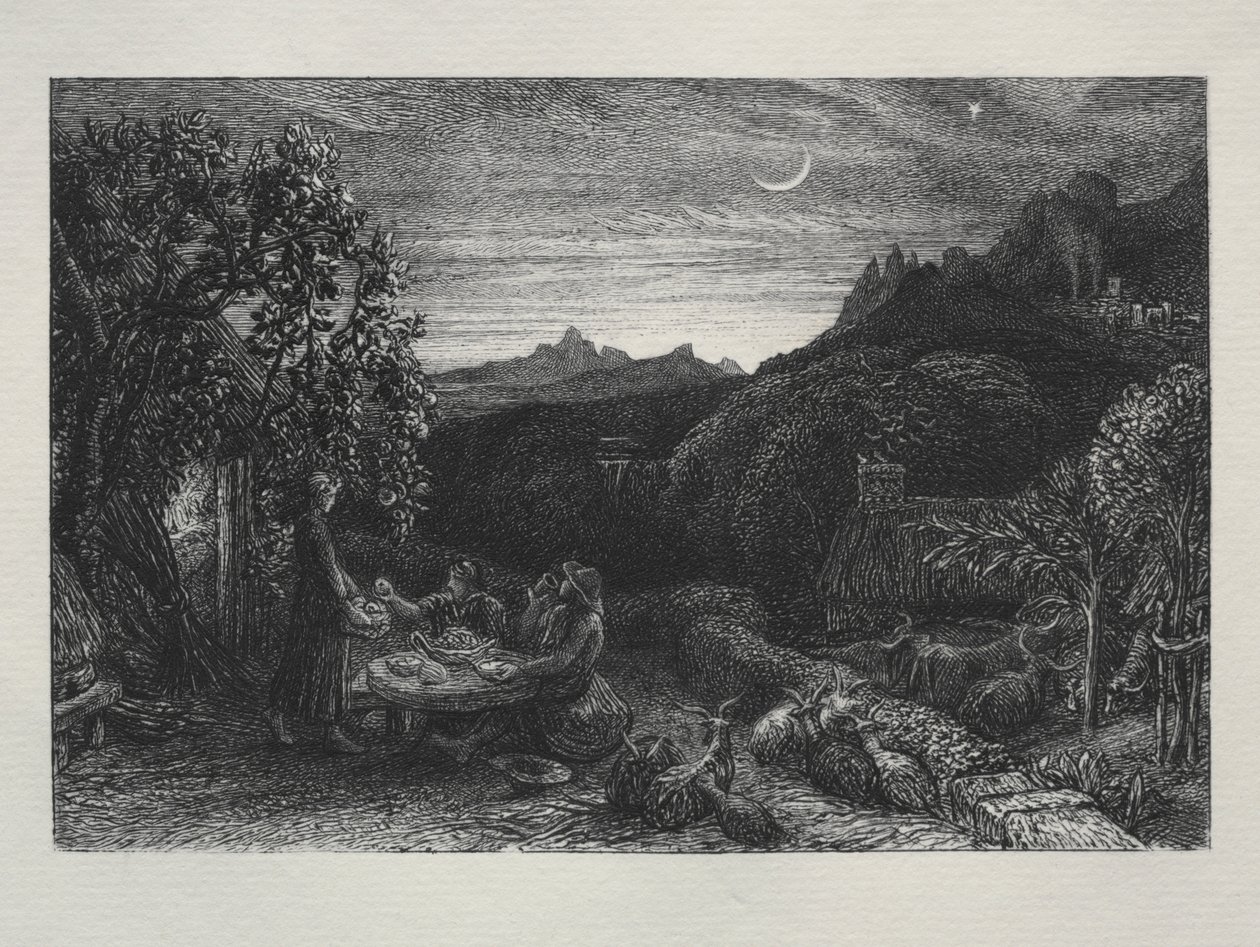 Kotiin menevä tähti tekijältä Samuel Palmer