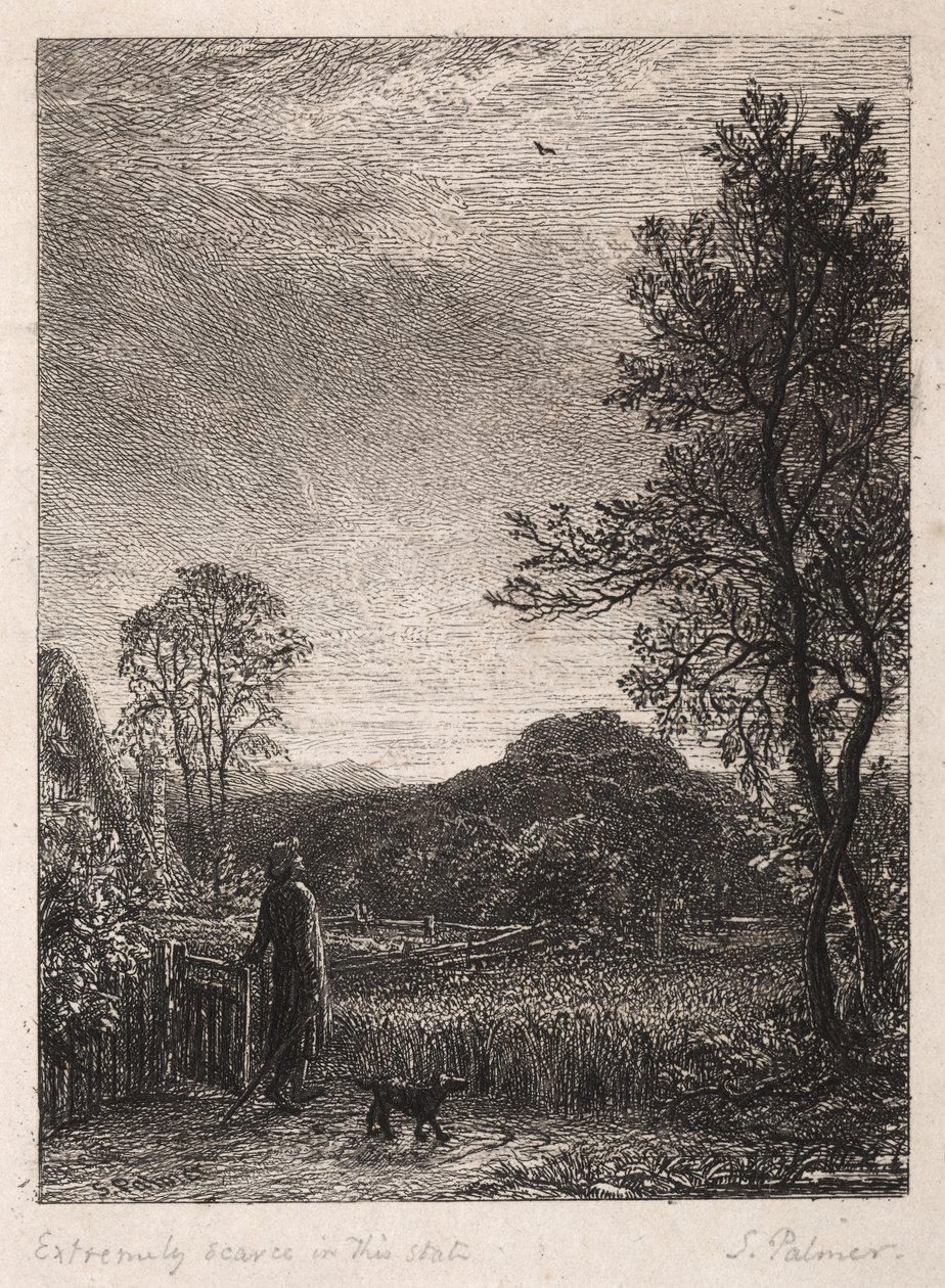 Skylark tekijältä Samuel Palmer