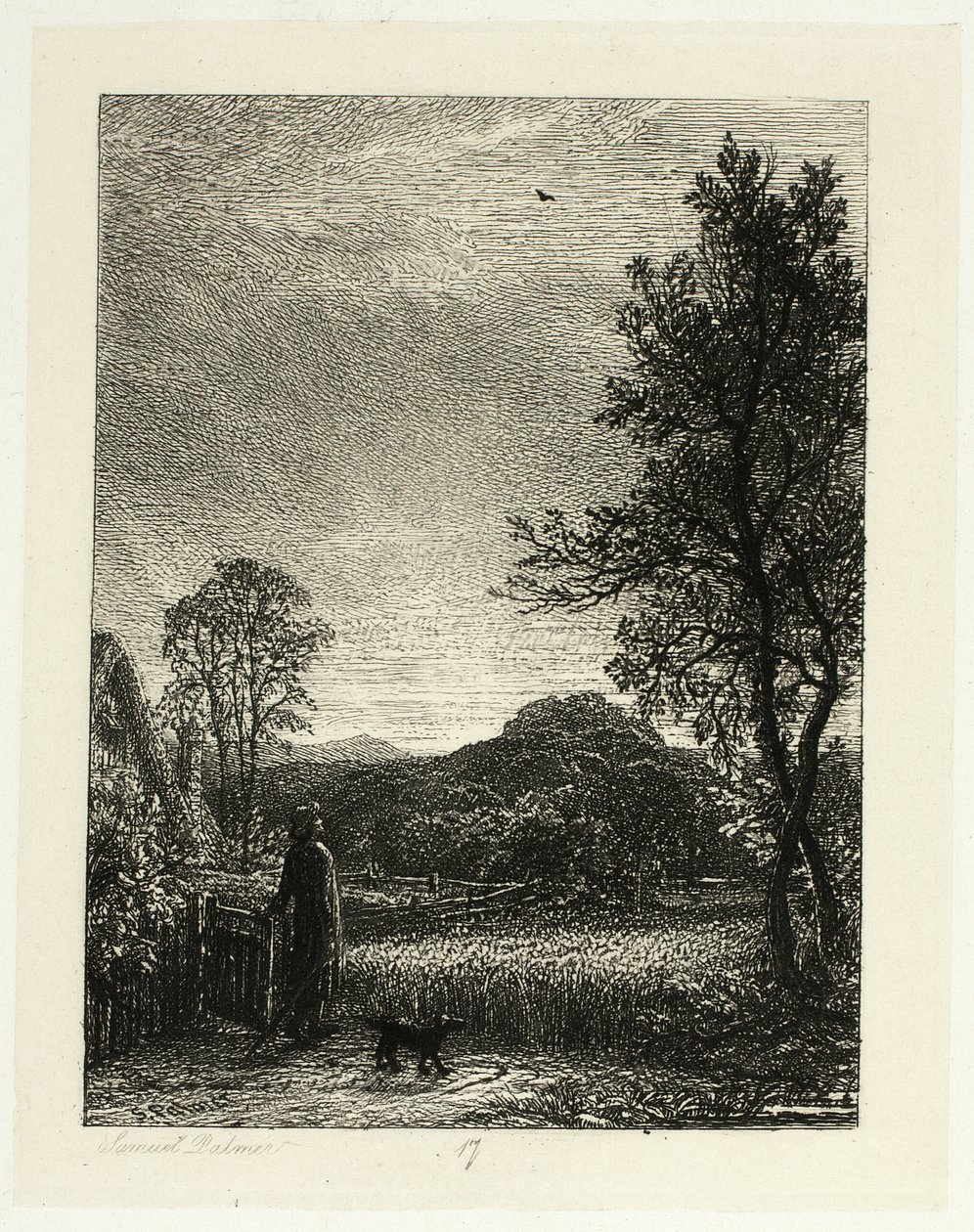 Skylark tekijältä Samuel Palmer