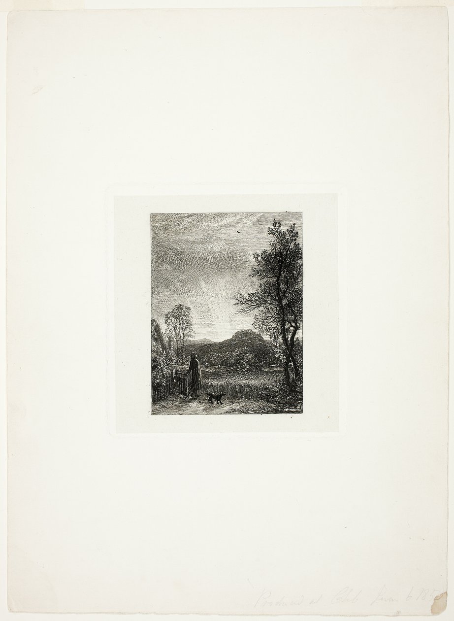 Skylark tekijältä Samuel Palmer