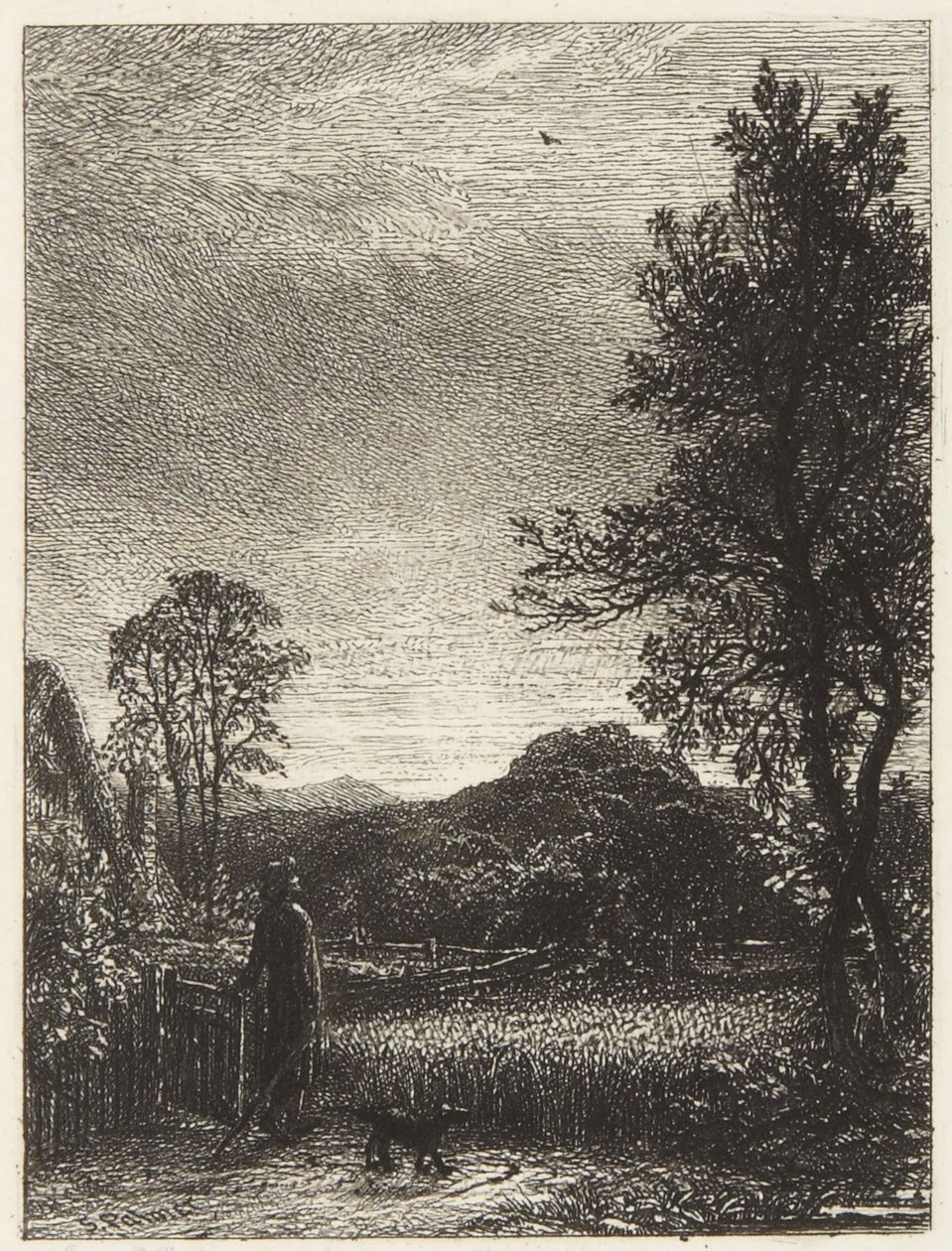 Kiuru tekijältä Samuel Palmer