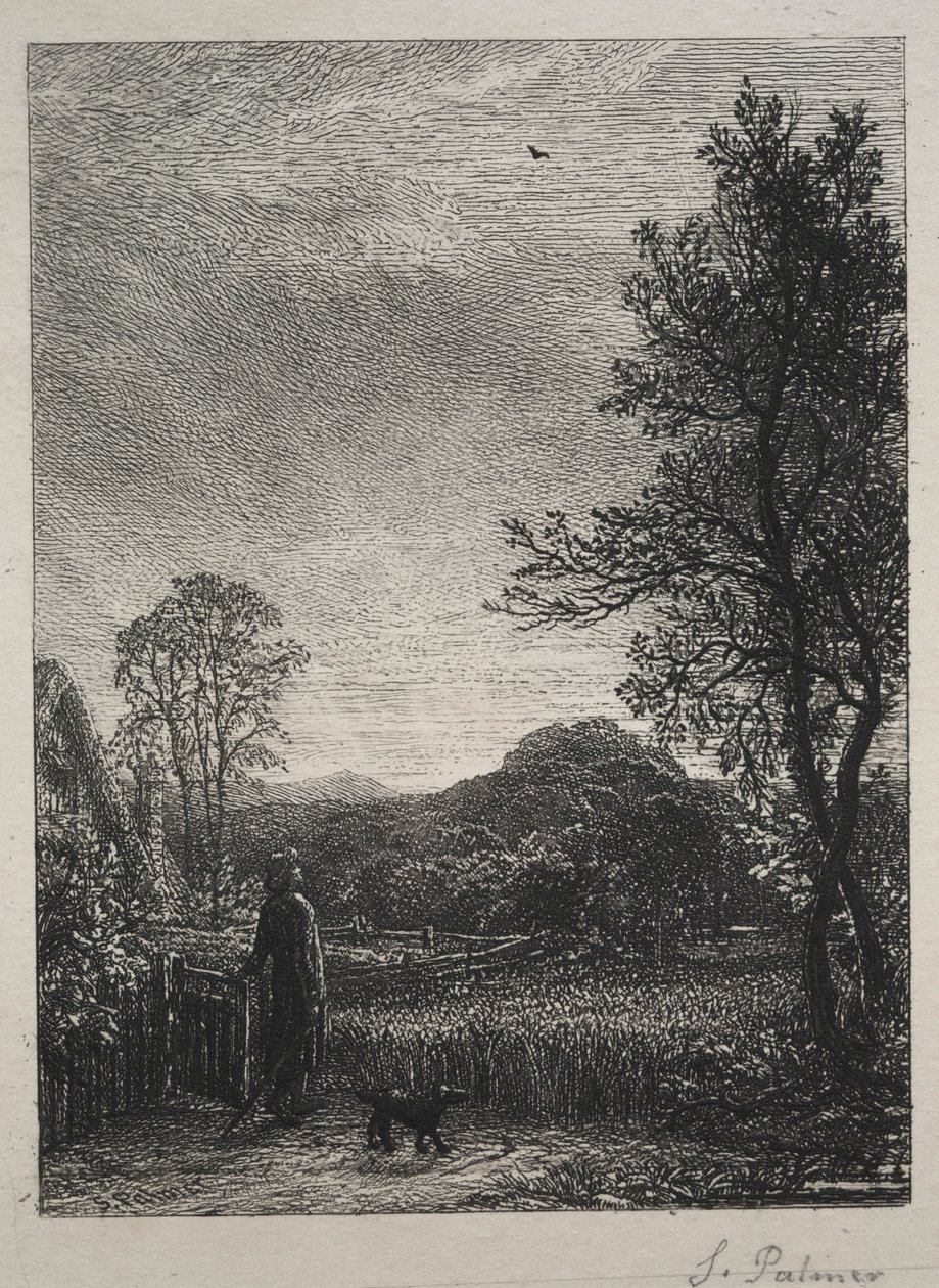 Skylark, 1850. tekijältä Samuel Palmer