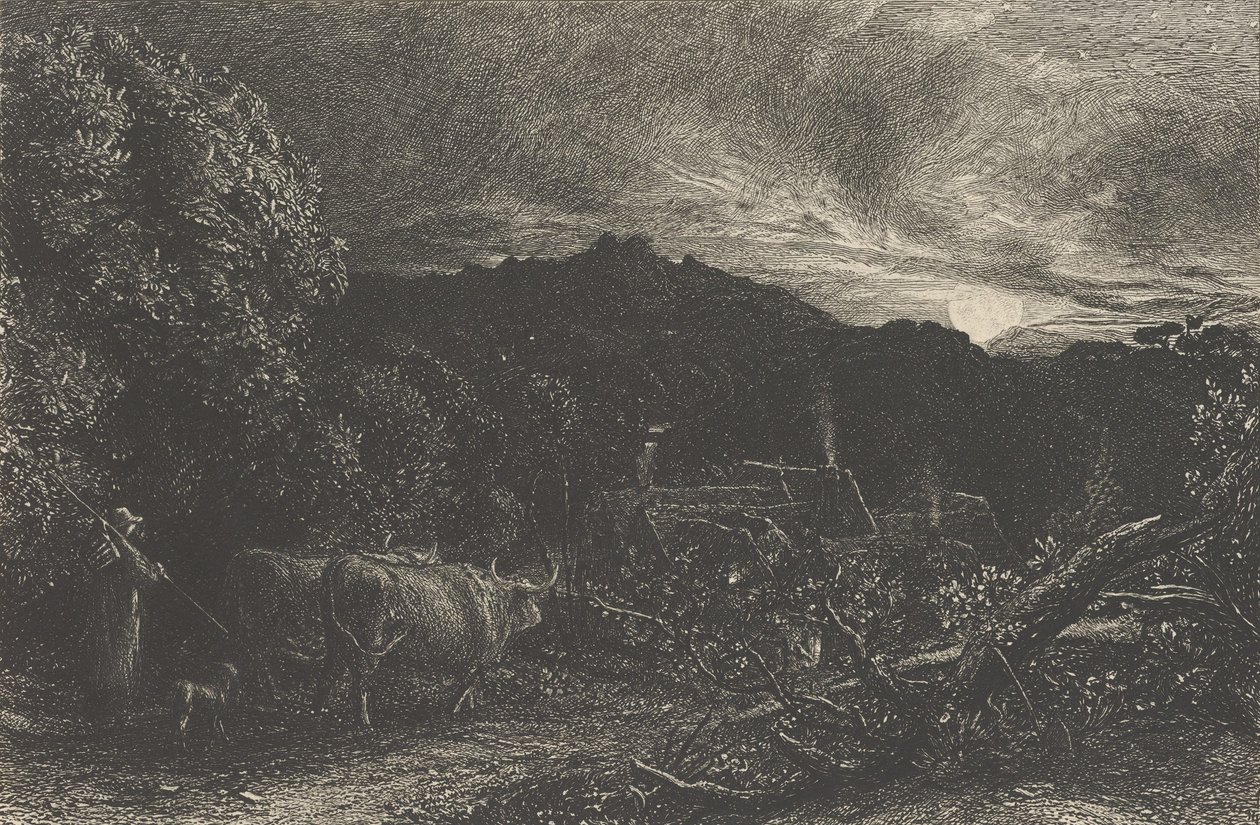 Väsynyt Ploughman, tai The Herdsman tai Tardus Bubulcus, alkoi vuonna tekijältä Samuel Palmer