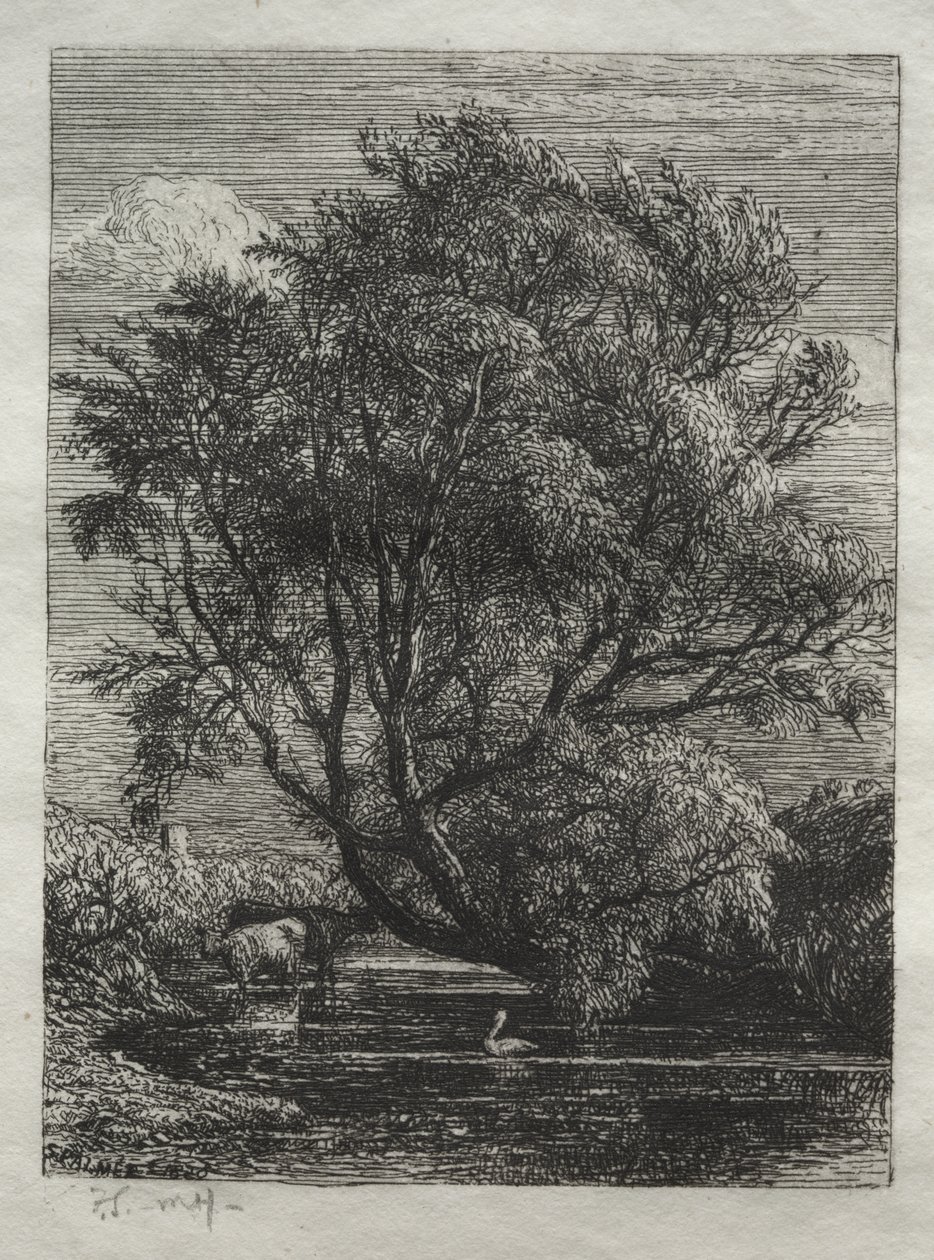 Paju tekijältä Samuel Palmer