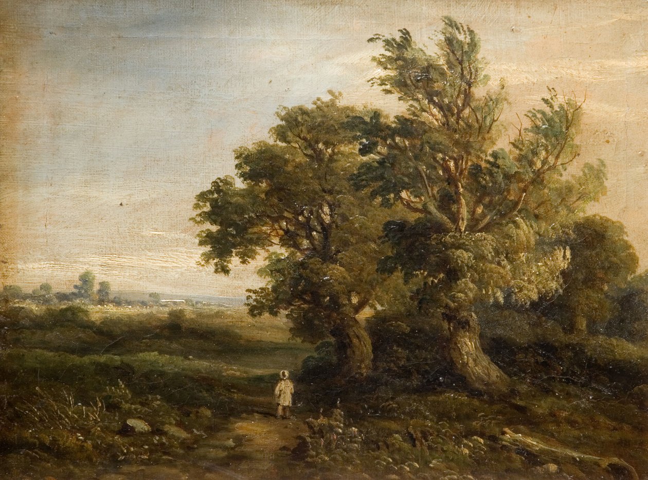 Maisema puiden kanssa, 1863. tekijältä Samuel Restell Lines