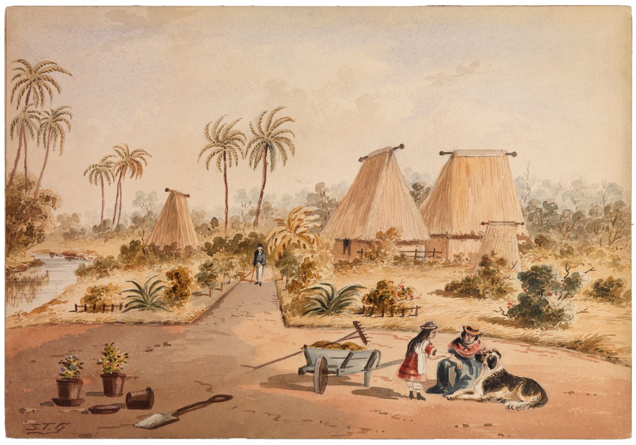 Homestead, Savu Bay, Fidži, 1870 tekijältä Samuel Thomas Gill