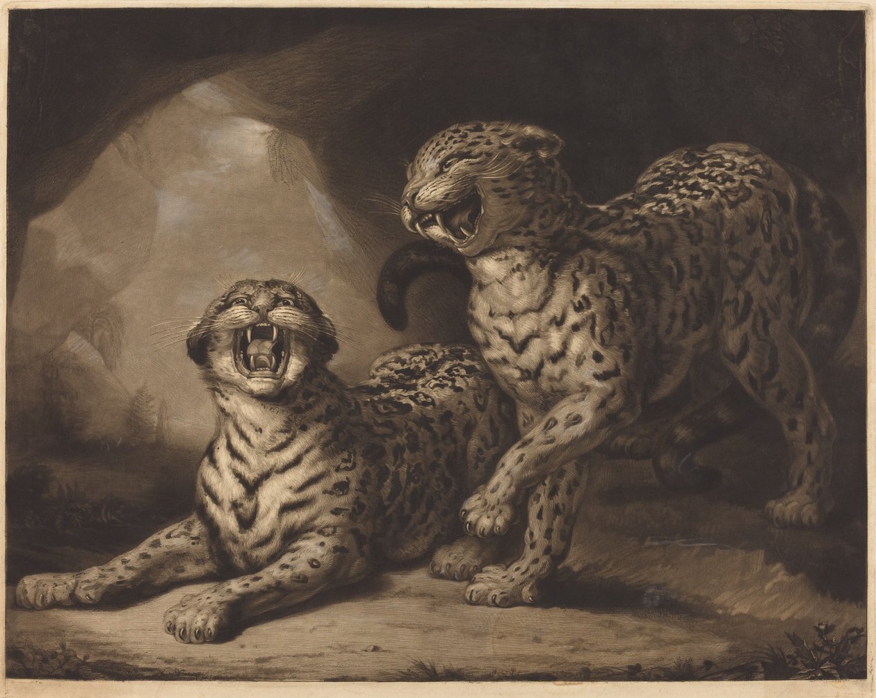 Leopardit tekijältä Samuel William Reynolds I after James Northcote