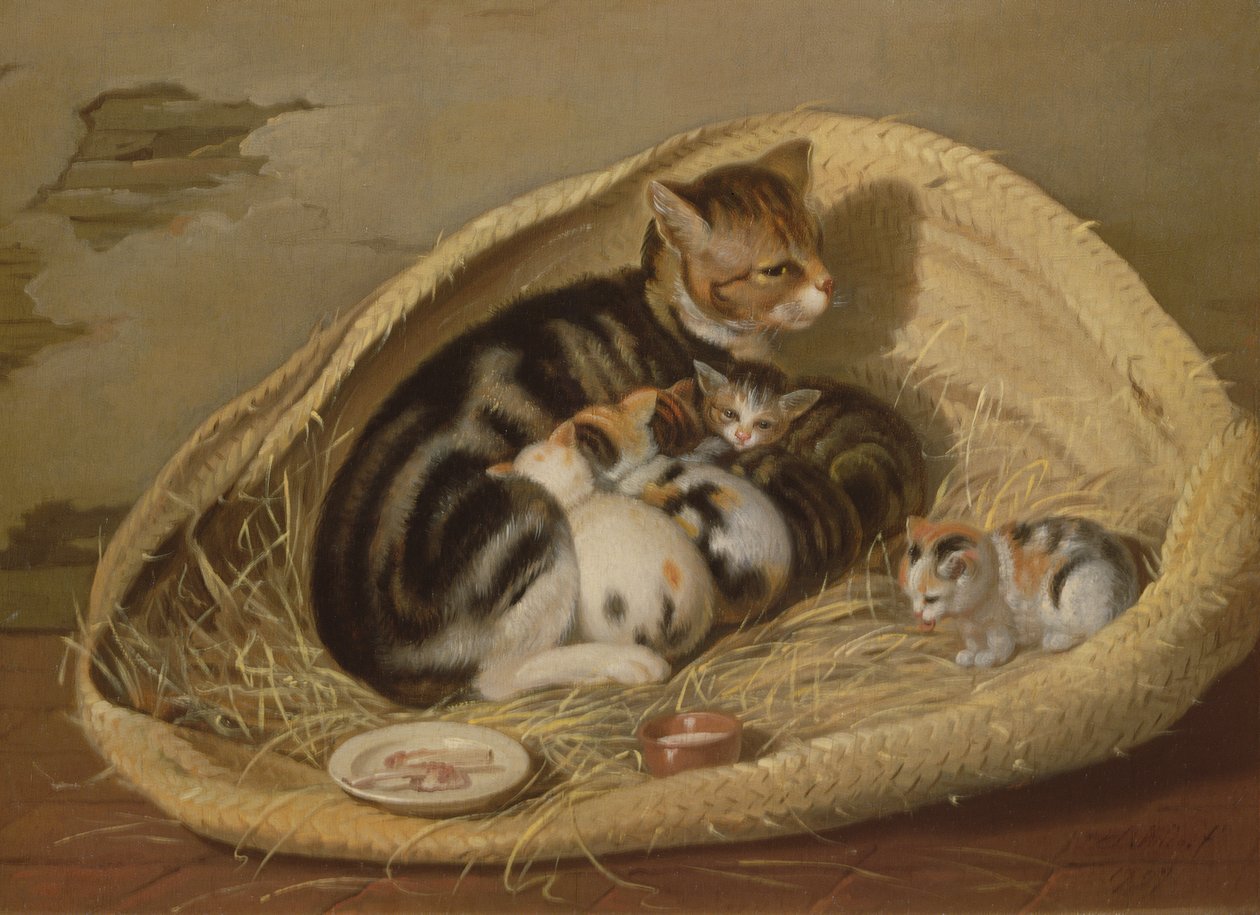 Kissa pentujensa kanssa korissa, 1797 tekijältä Samuel de Wilde