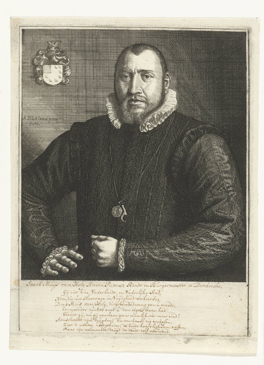 Muotokuva Jacob Muys of Holysta tekijältä Samuel van Hoogstraten