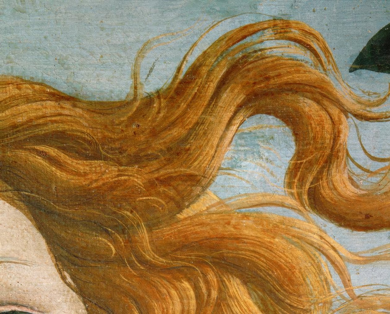 Die Geburt der Venus tekijältä Sandro Botticelli