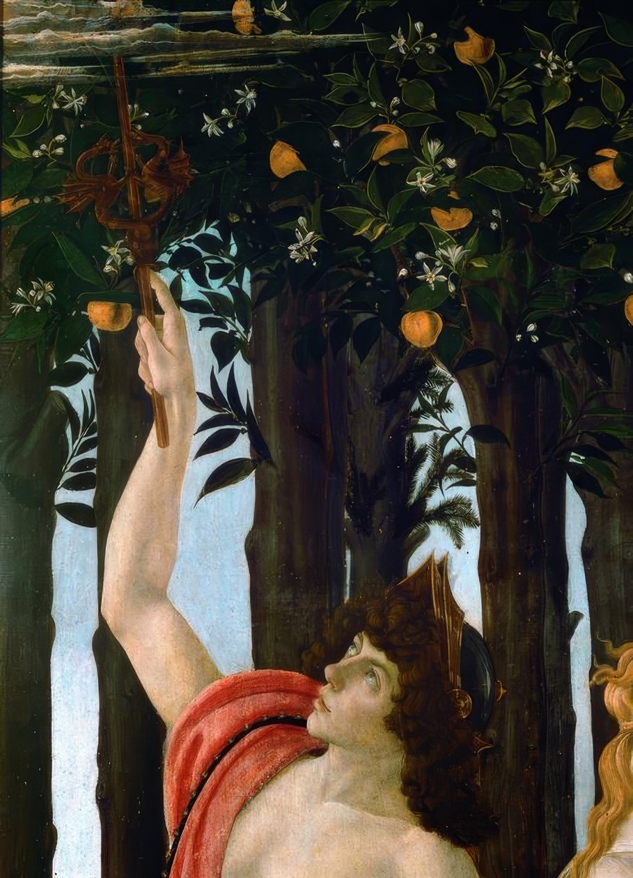 La Primavera tekijältä Sandro Botticelli