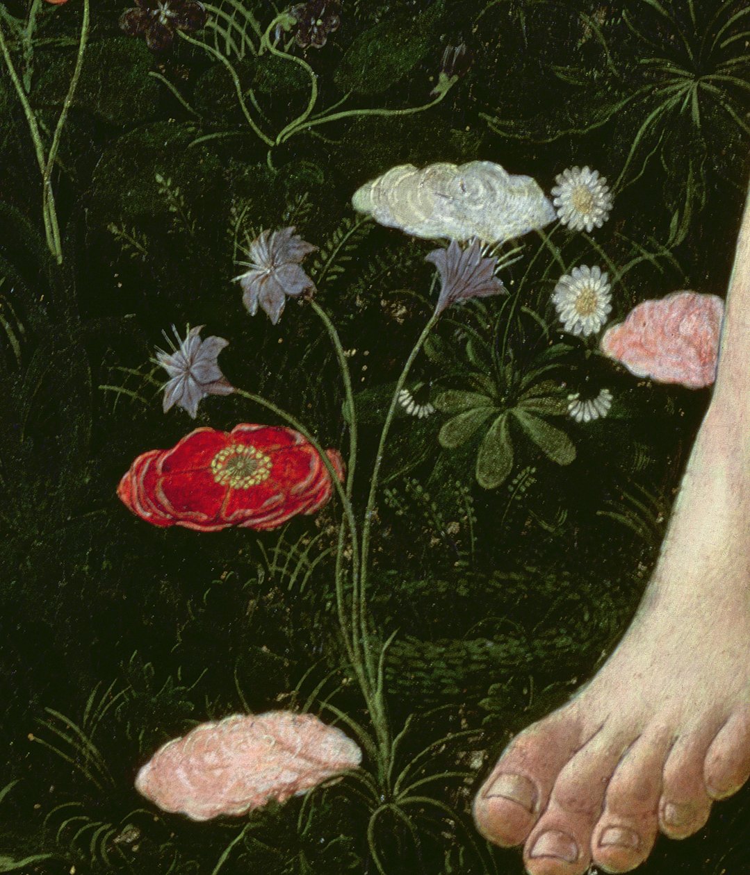 Primavera, n. 1478, tempera paneelin yksityiskohdassa 558 tekijältä Sandro Botticelli