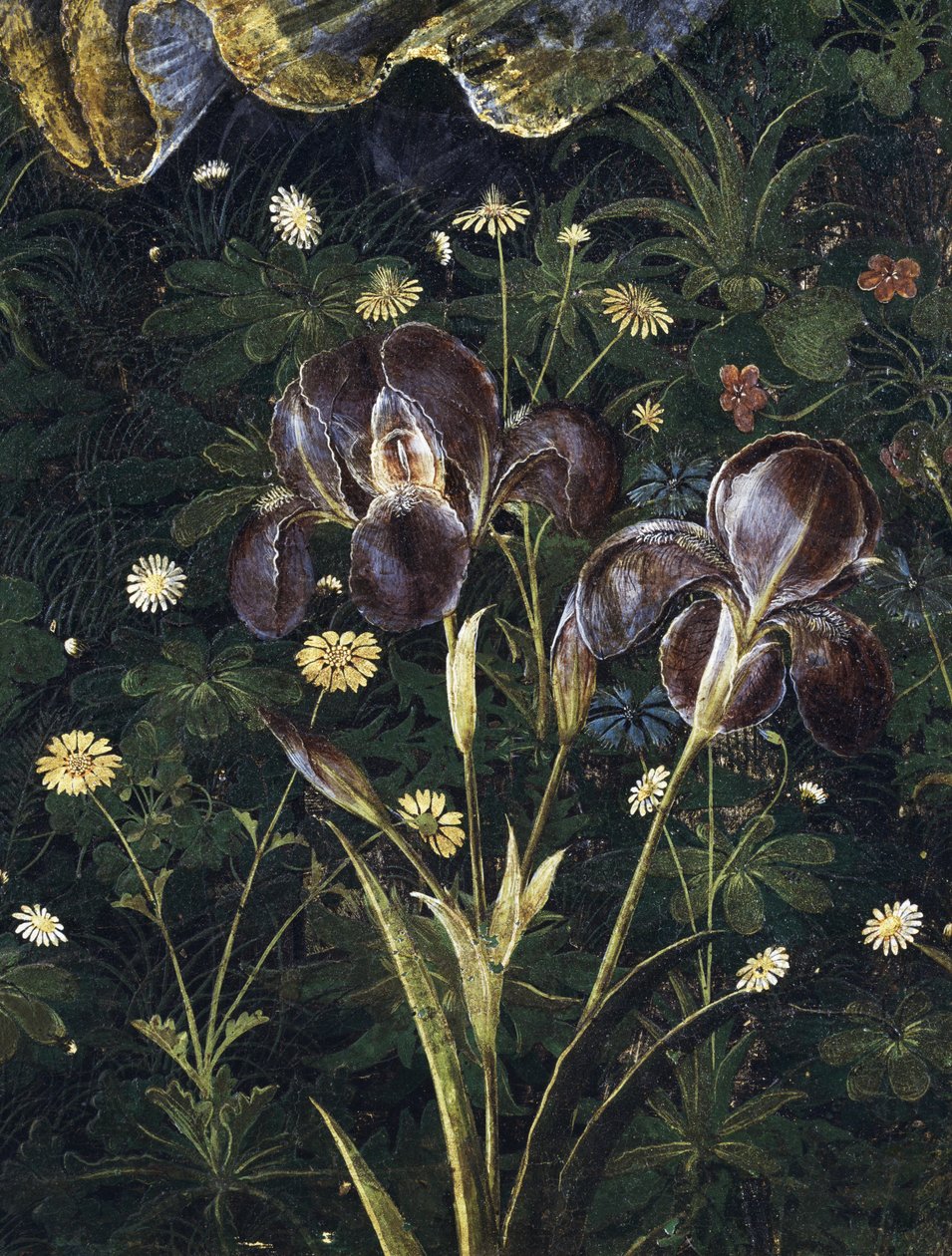 Primavera, n. 1478, tempera paneelin yksityiskohdassa 558 tekijältä Sandro Botticelli