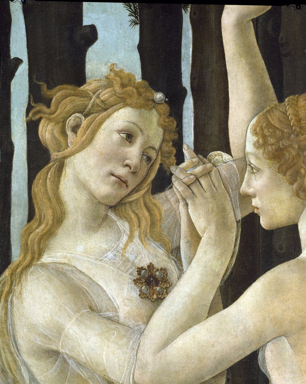 Primavera, n. 1478, tempera paneelin yksityiskohdassa 558 tekijältä Sandro Botticelli