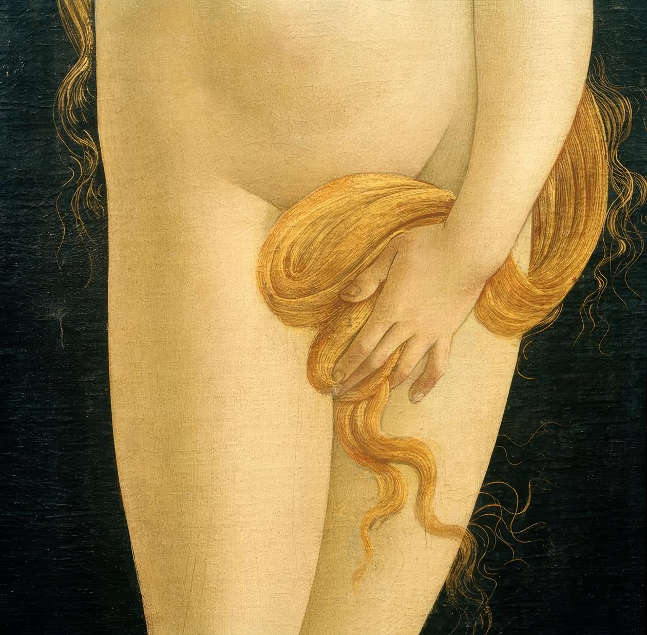 Venus (Hand und Haare) tekijältä Sandro Botticelli