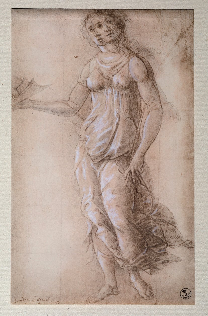 Pallas (piirustus, vuoden 1491 jälkeen) tekijältä Sandro Botticelli