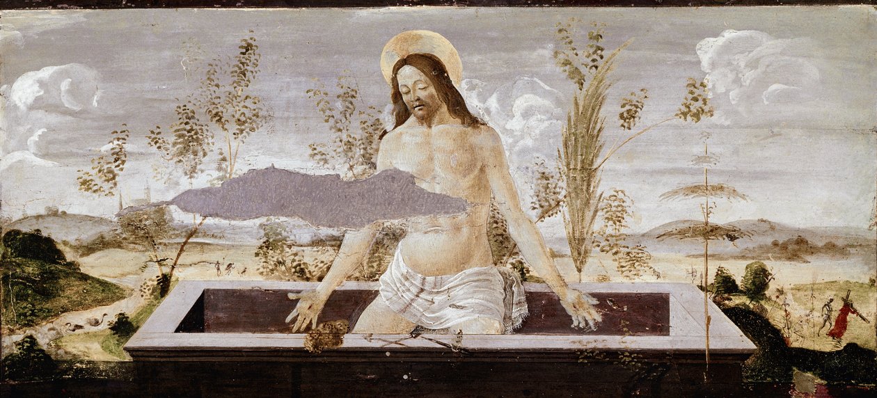 Pieta. Yksityiskohta St Barnaba alttaritaulusta (tempera puulla tekijältä Sandro Botticelli