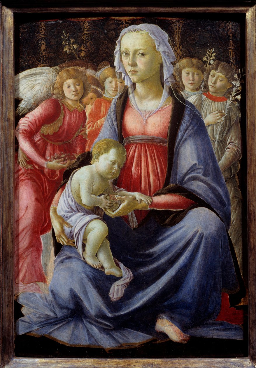 Neitsyt ja lapsi viiden enkelin ympäröimänä Alessandro di Mariano dei Filipepin maalaus dit Sandro Botticelli (1445-1510) 1400-luvun su. 0,58x0,4 m tekijältä Sandro Botticelli