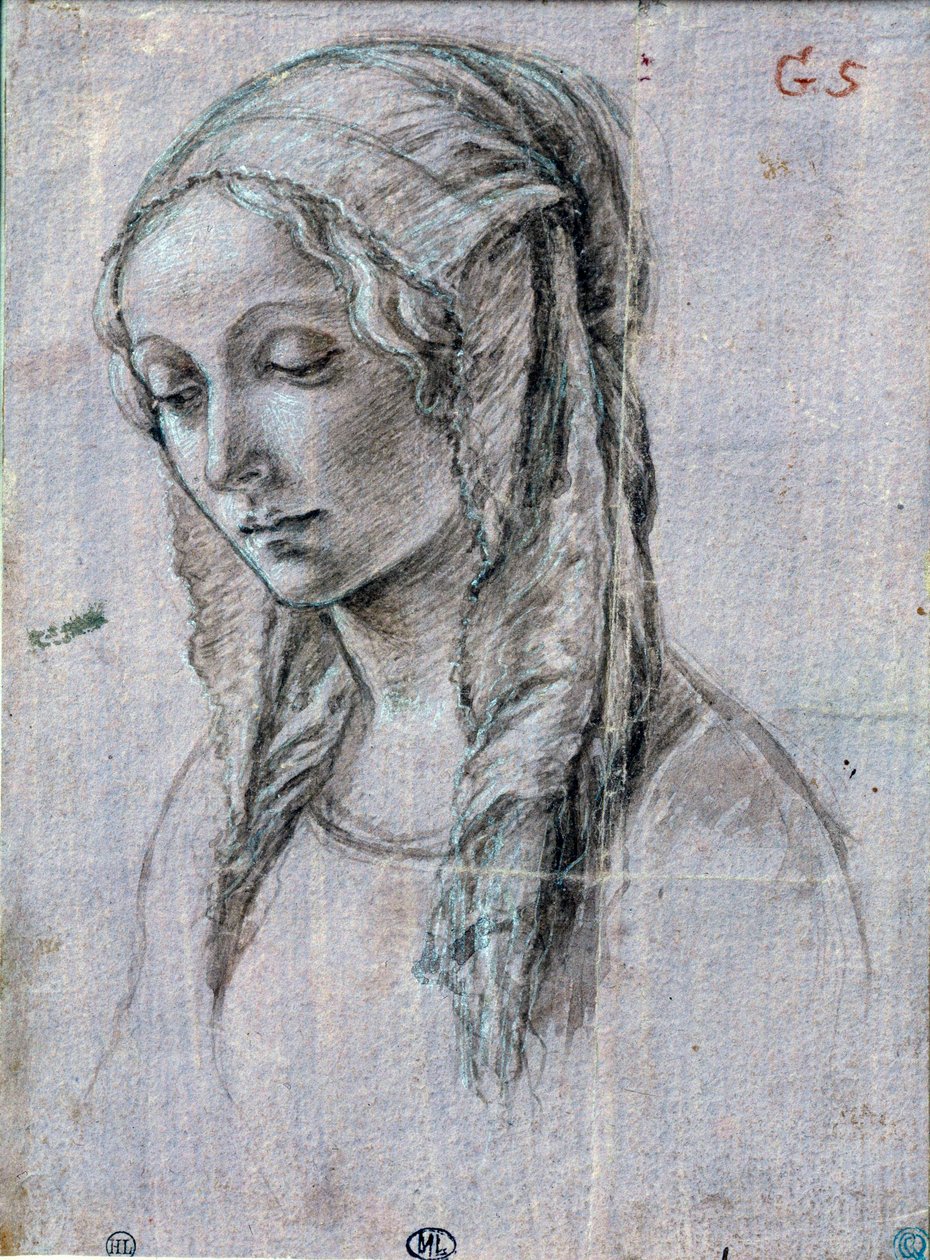 Nuoren naisen pää”” Sivellinpiirros ja valkoiset läpät Alessandro di Mariano dei Filipepi dit Sandro Botticelli (1445-1510) 1400-luvun Pariisi, Louvre-museo tekijältä Sandro (attr. to) Botticelli