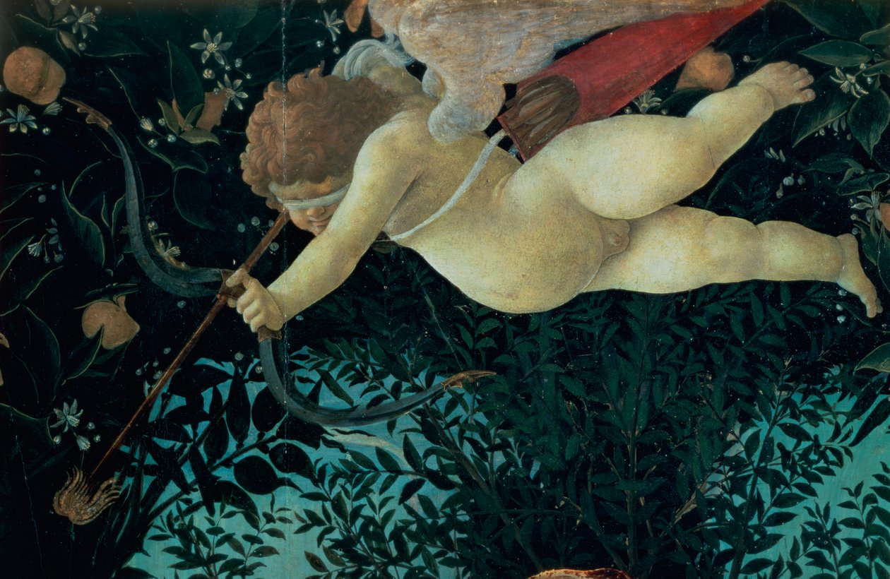 Yksityiskohta Amorista, Primavera tempera paneelille -teoksesta yksityiskohta vuodelta 558. tekijältä Sandro Botticelli