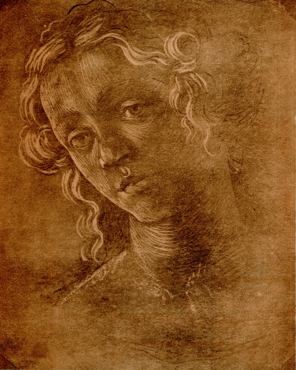 Naisen pää tekijältä Sandro Botticelli