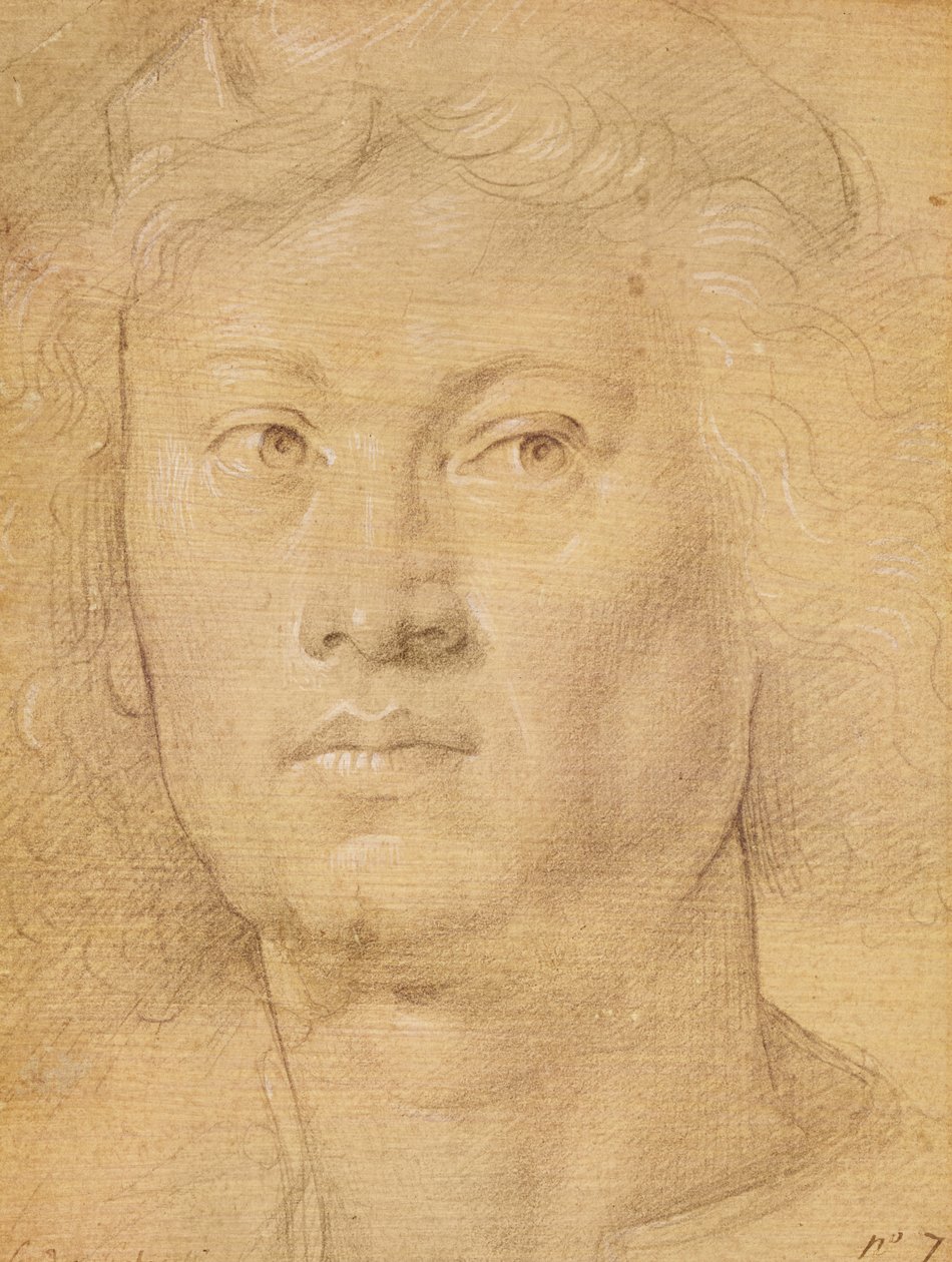 Enkelin pää (kynä ja värikynä paperilla) tekijältä Sandro Botticelli