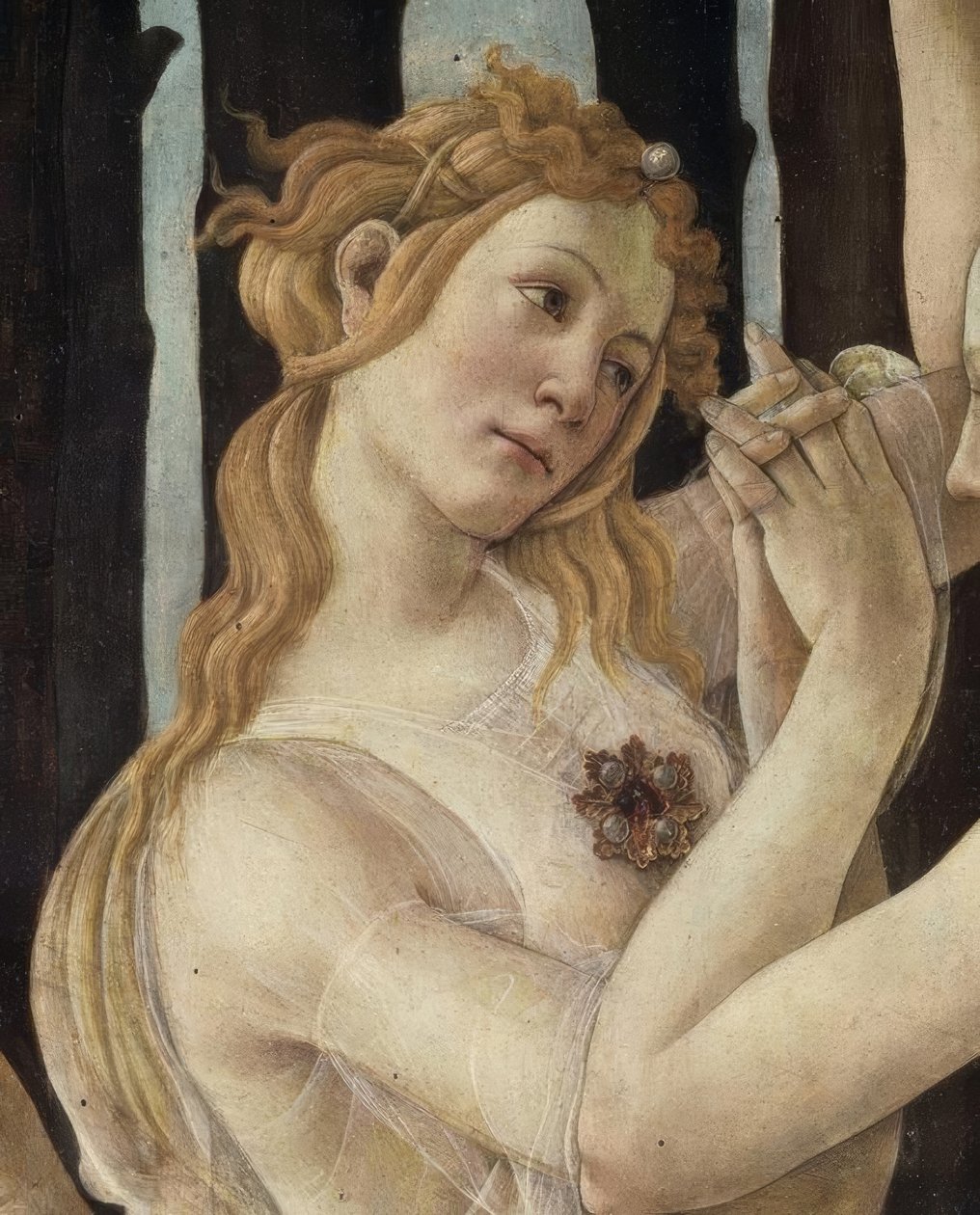 La Primavera tekijältä Sandro Botticelli