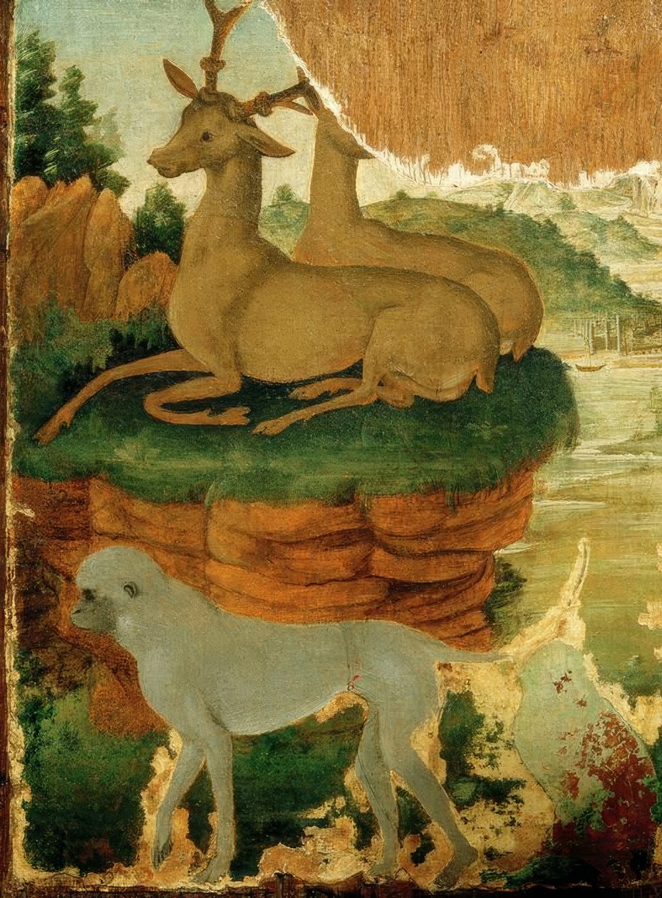 Landschaft mit Rehböcken und Affen tekijältä Sandro Botticelli