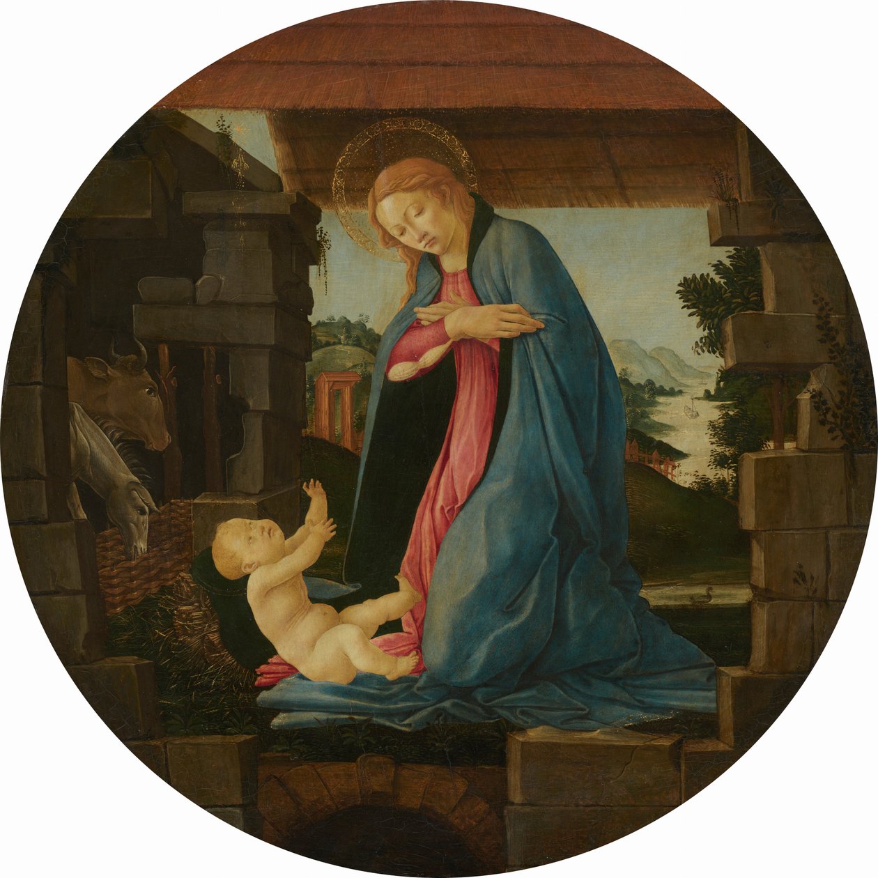 Neitsyt palvomassa Lasta tekijältä Sandro Botticelli