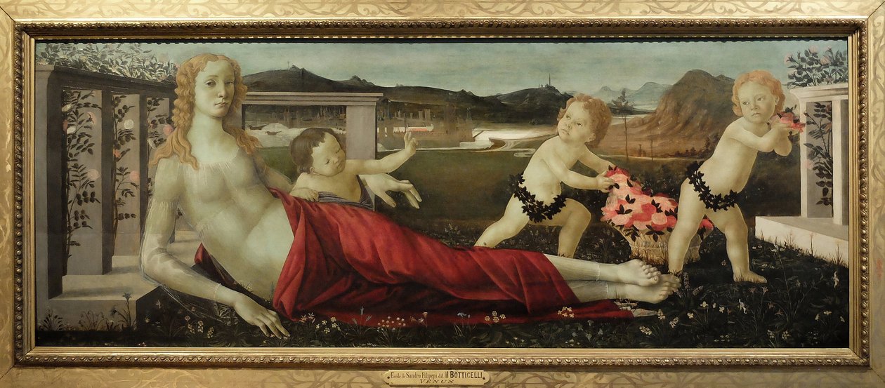 Tuntematon kuva tekijältä Sandro Botticelli