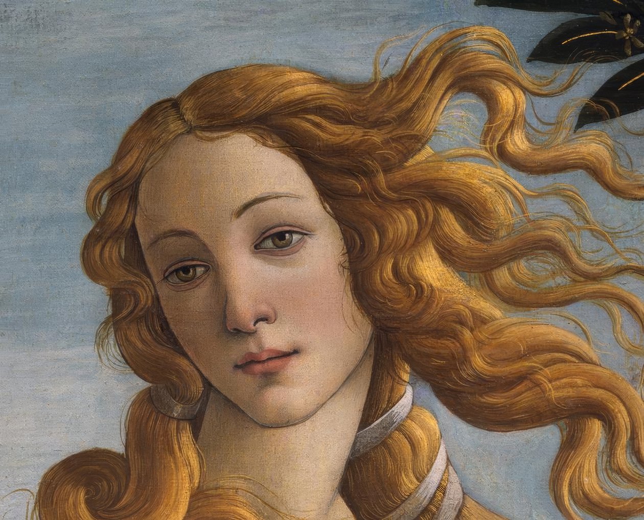 Venus tekijältä Sandro Botticelli