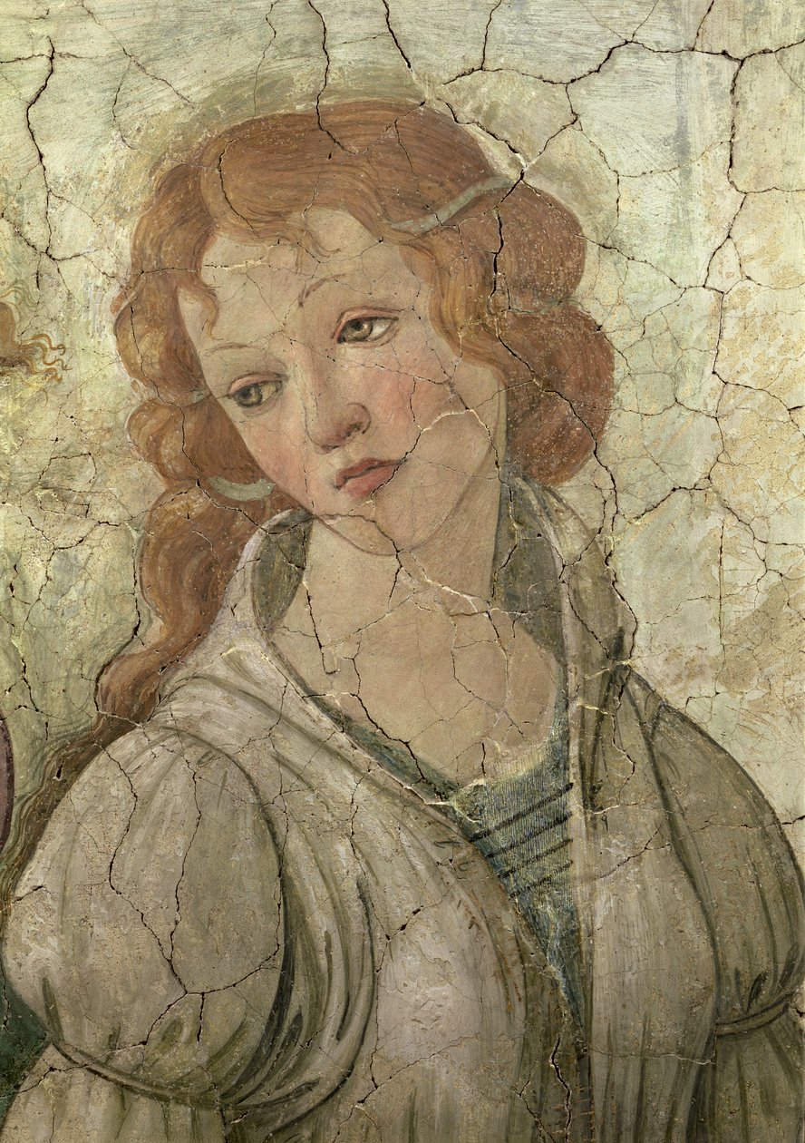 Venus ja kolme armoa tarjoamassa lahjoja nuorelle tytölle, yksityiskohta yhdestä armosta, fresko, 33760, ks. myös 93891, 93893-4. tekijältä Sandro Botticelli