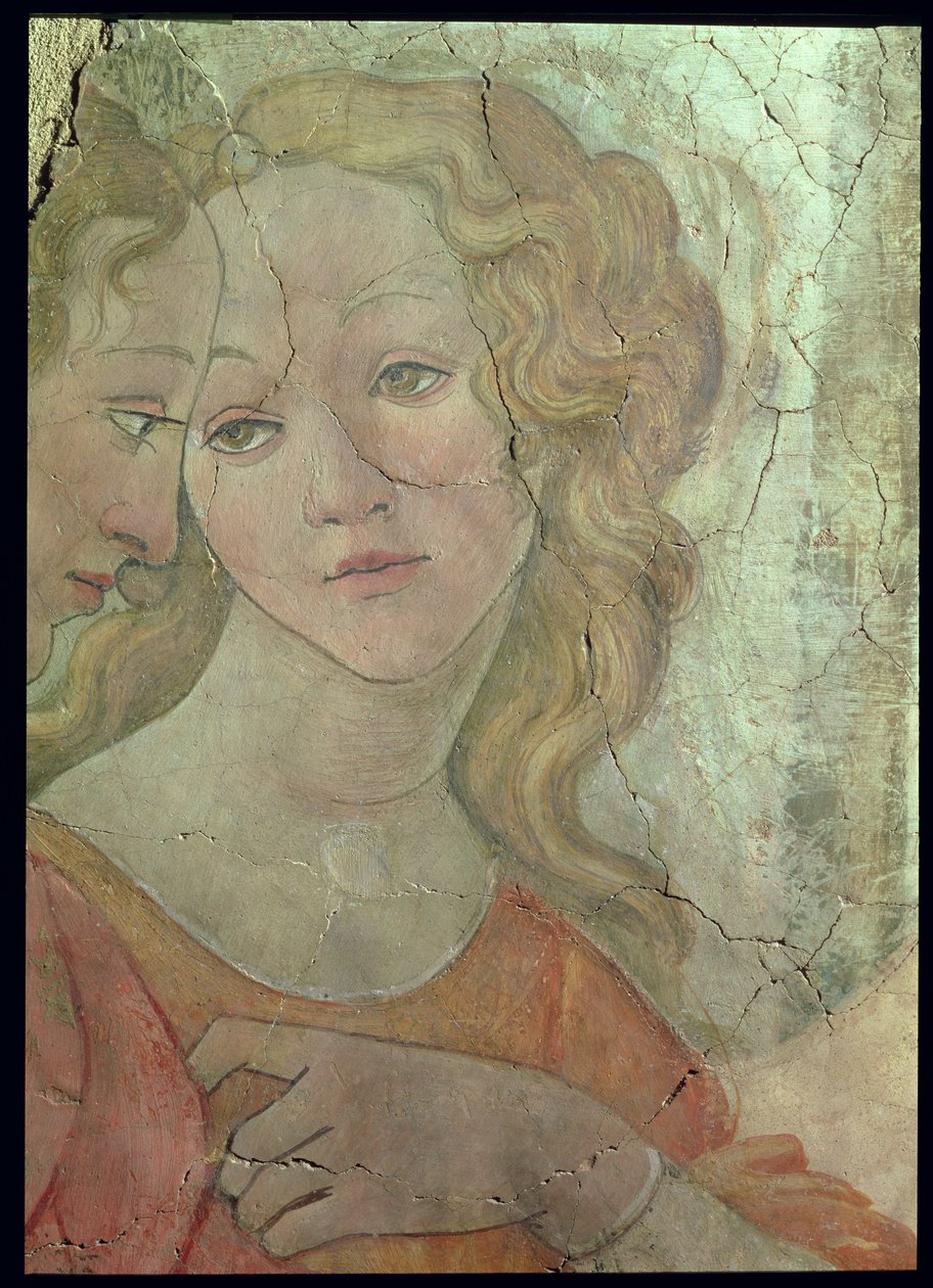 Venus ja kolme armoa tarjoamassa lahjoja nuorelle tytölle, yksityiskohta yhdestä armosta, n.1483, fresko, yksityiskohta kuvasta 33760 ks. myös 93891-2, 93894. tekijältä Sandro Botticelli