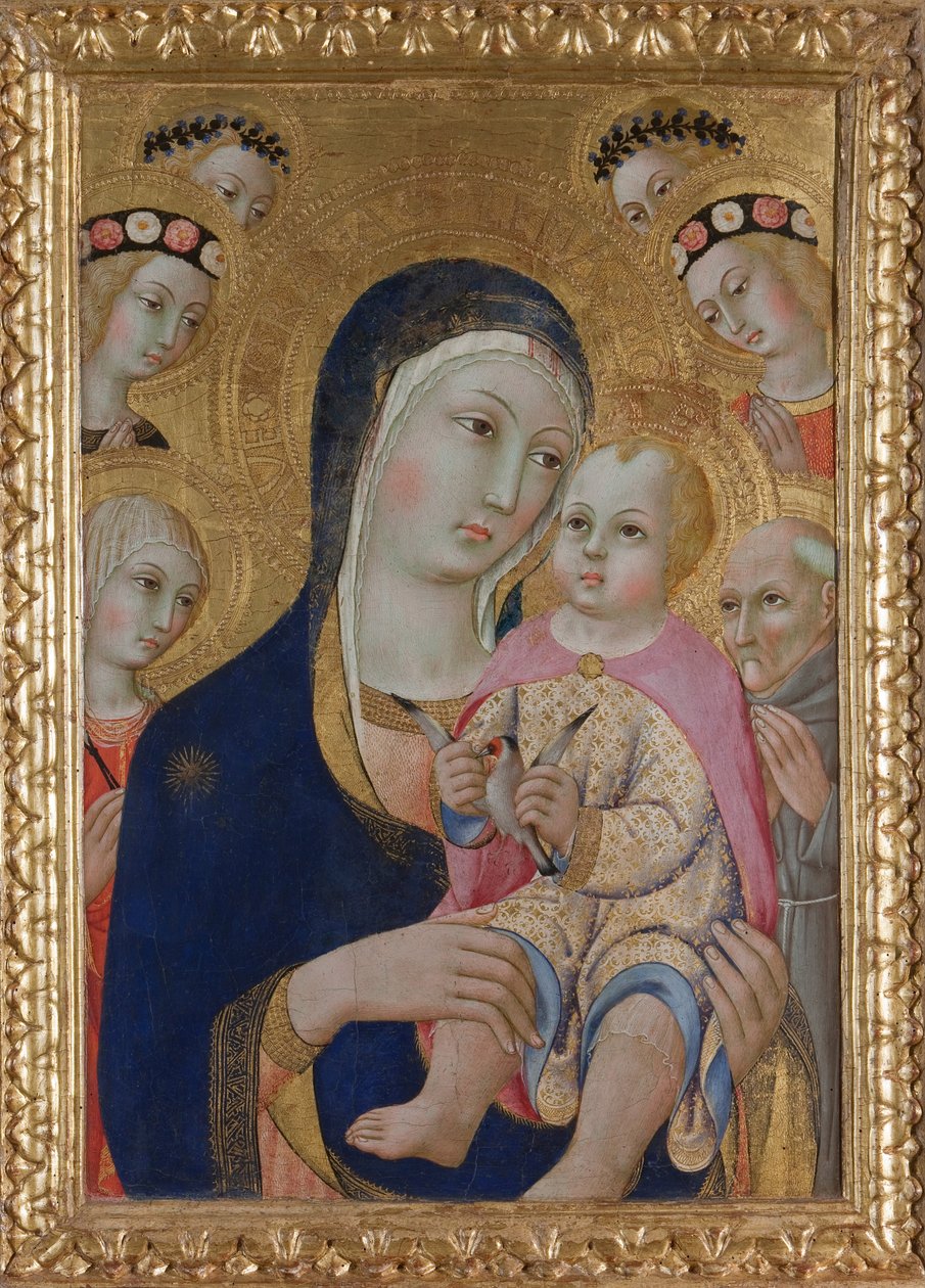 Madonna lapsen kanssa, pyhät Apollonia ja Bernardino ja neljä enkeliä, n. 1460 tekijältä Sano di Pietro