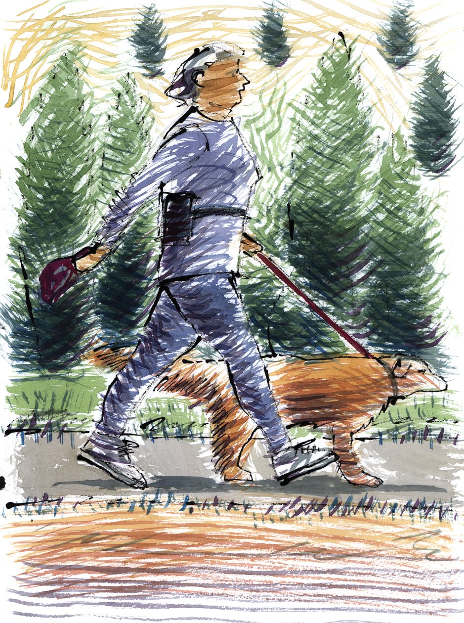Walking the Dog, 2009 (akryyli) tekijältä Sara Hayward